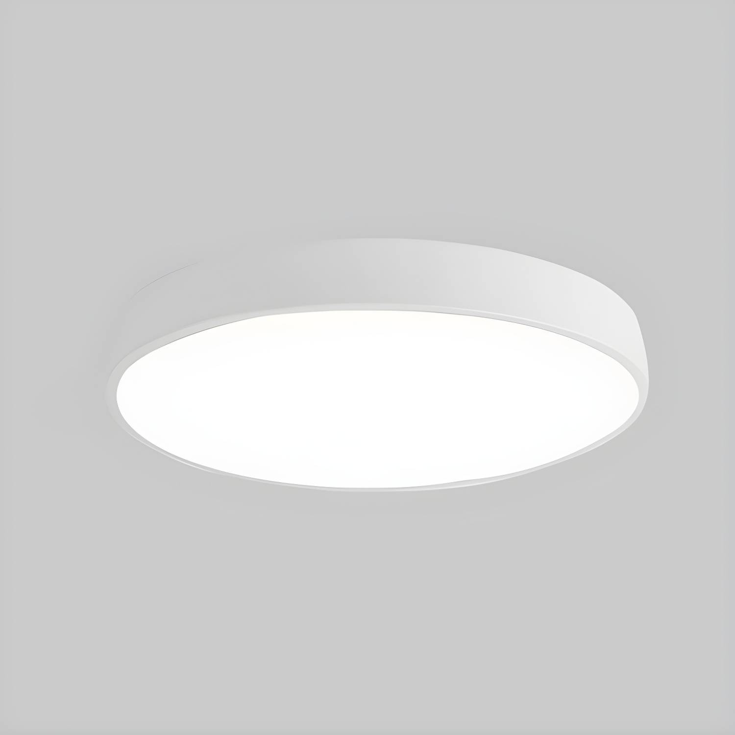 Imported image be99a3f5a29d 2748781.jpg
