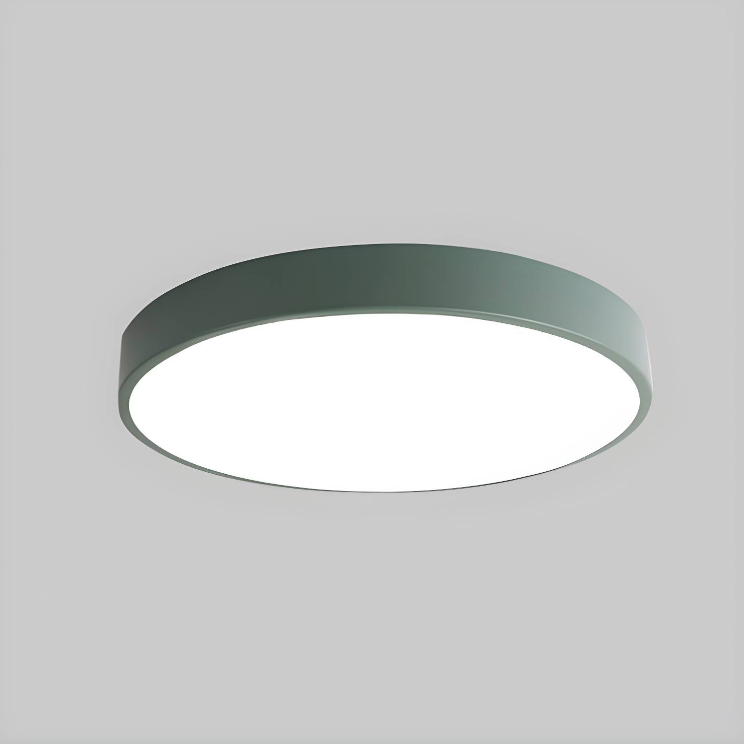 Imported image e37d20ca8a56 2748782.jpg