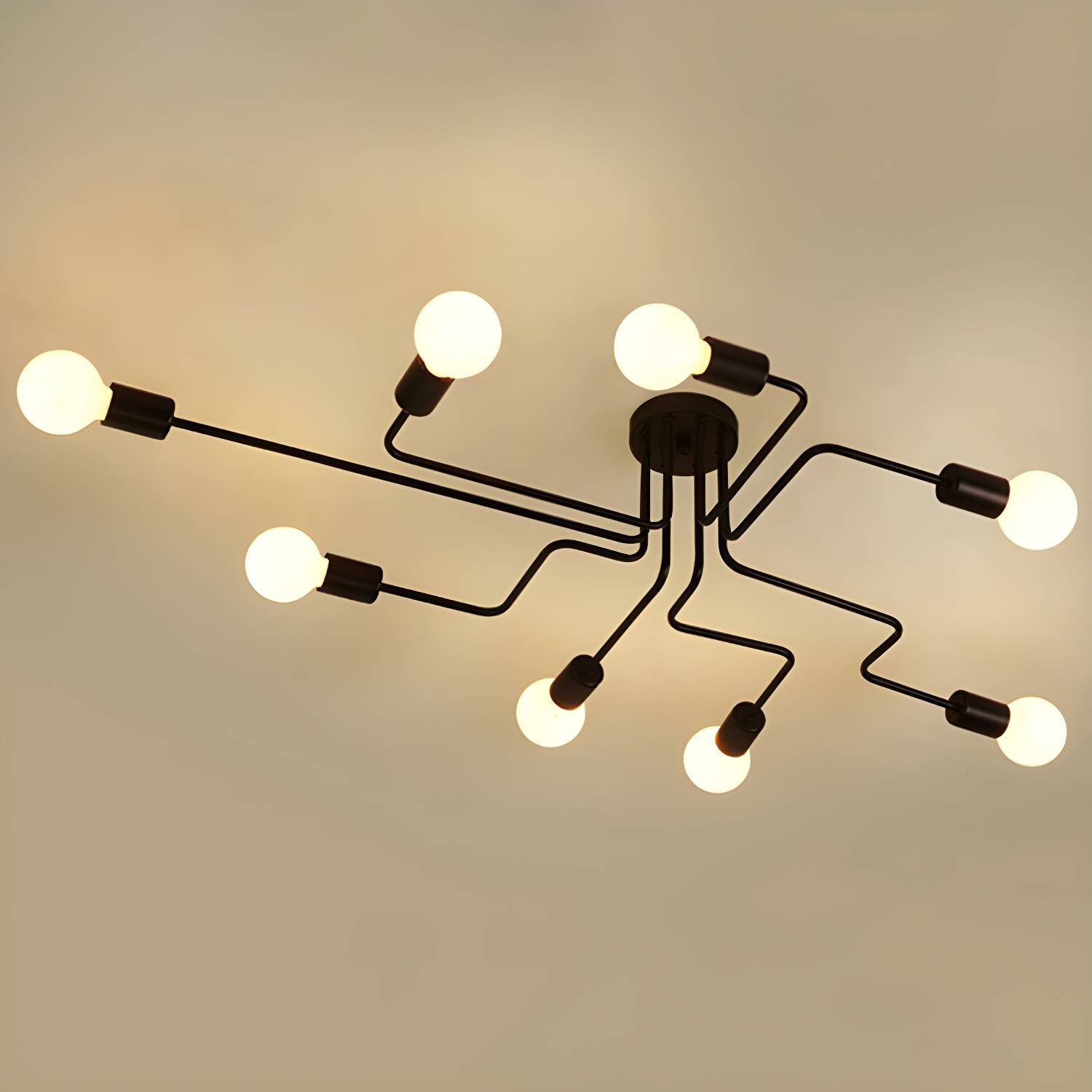 Imported image e20e68a17165 2748826.jpg