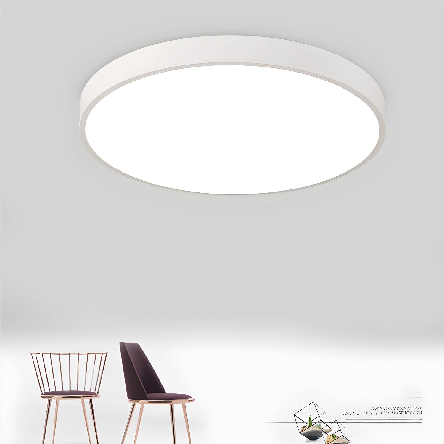 Imported image acce4f12108e 2756664.jpg