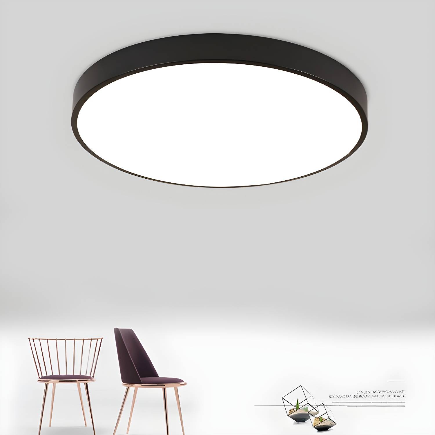 Imported image 0266a6ce4beb 2756666.jpg