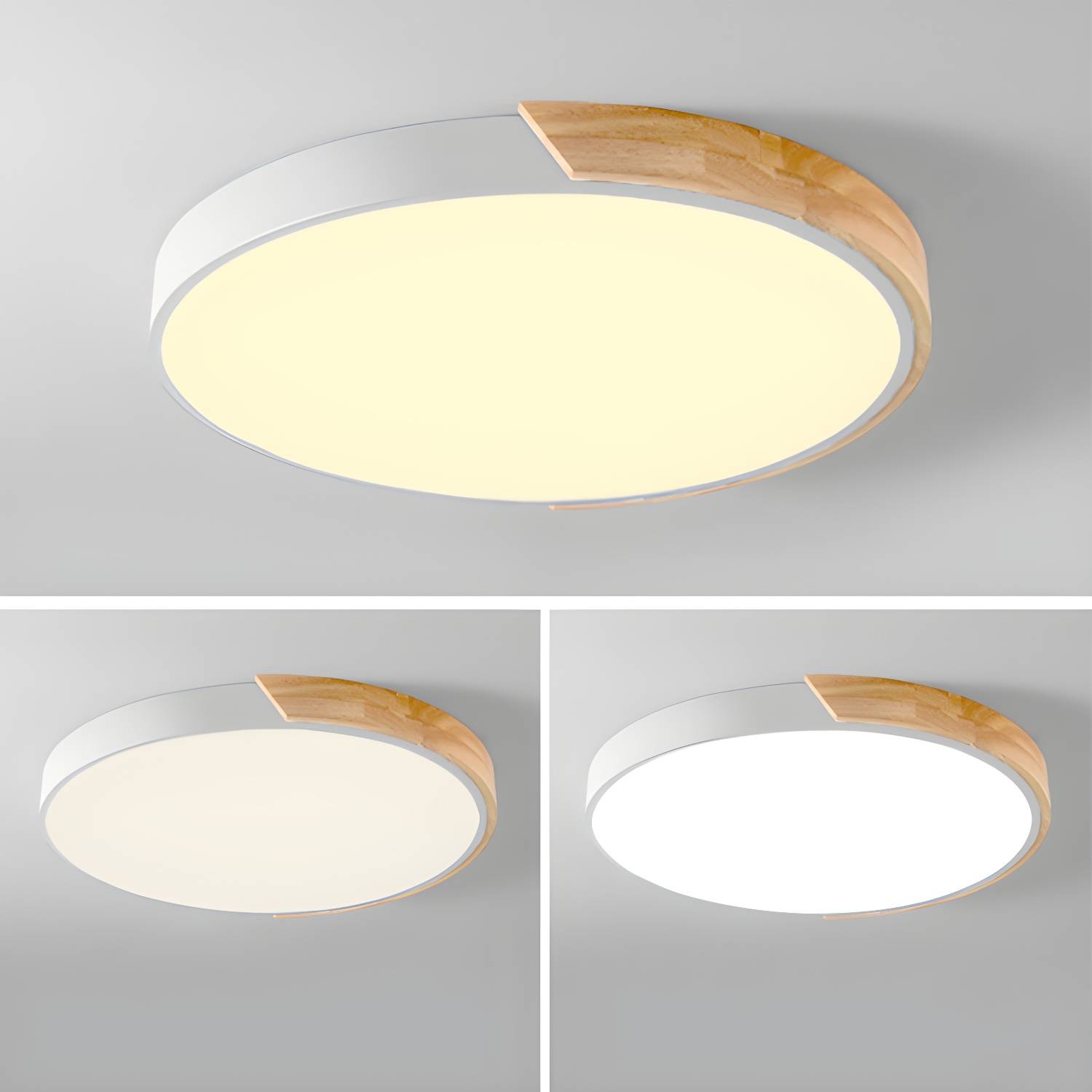Imported image e360b596c52a 2768518.jpg
