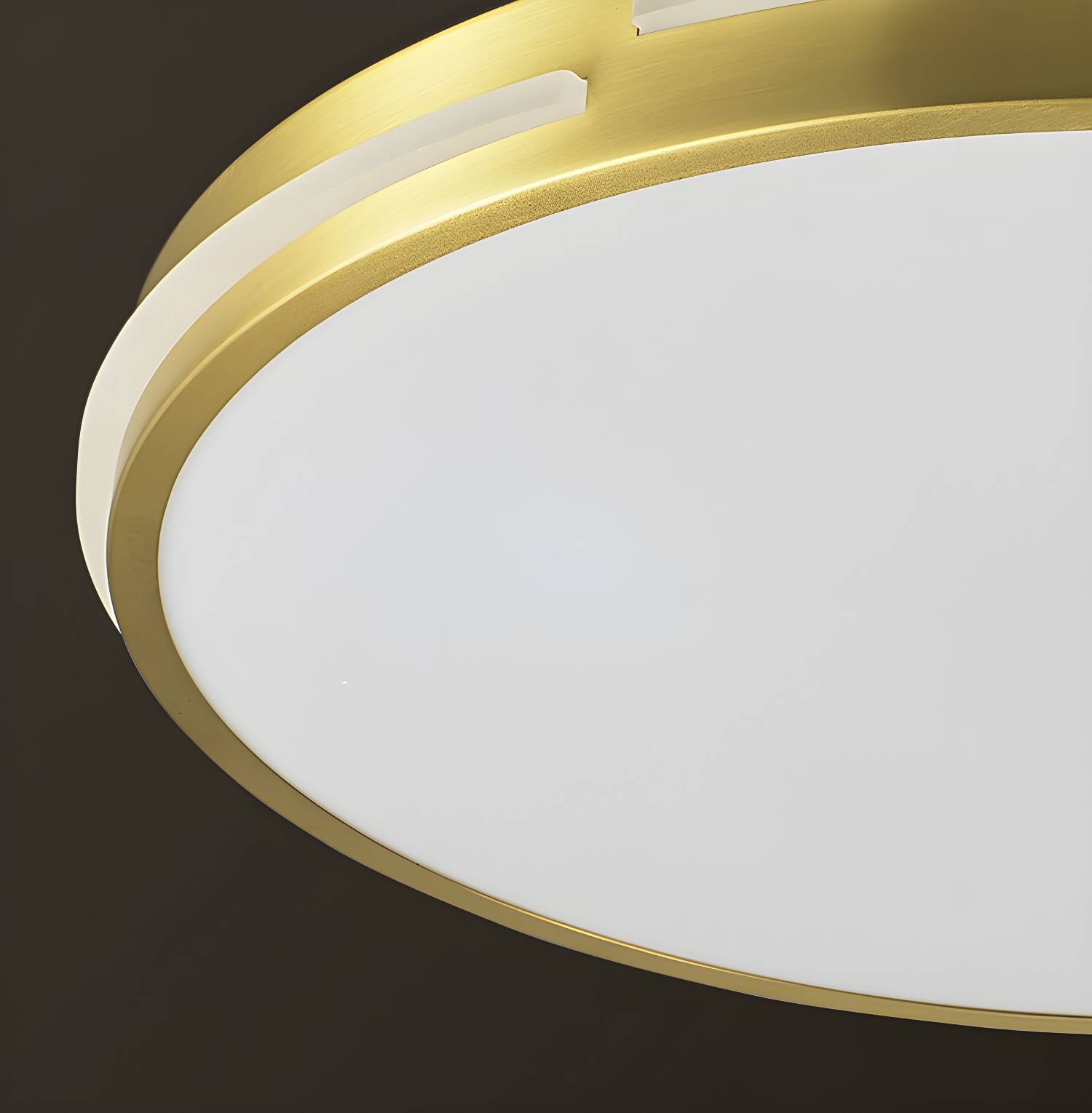 Imported image 45c6de80c0d2 2769066.jpg