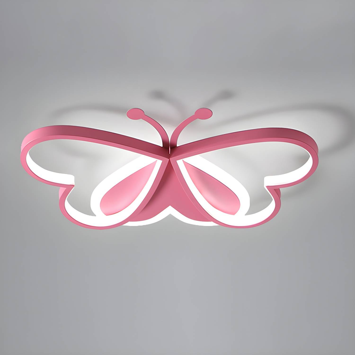 Imported image 9771b6f50839 2776049.jpg