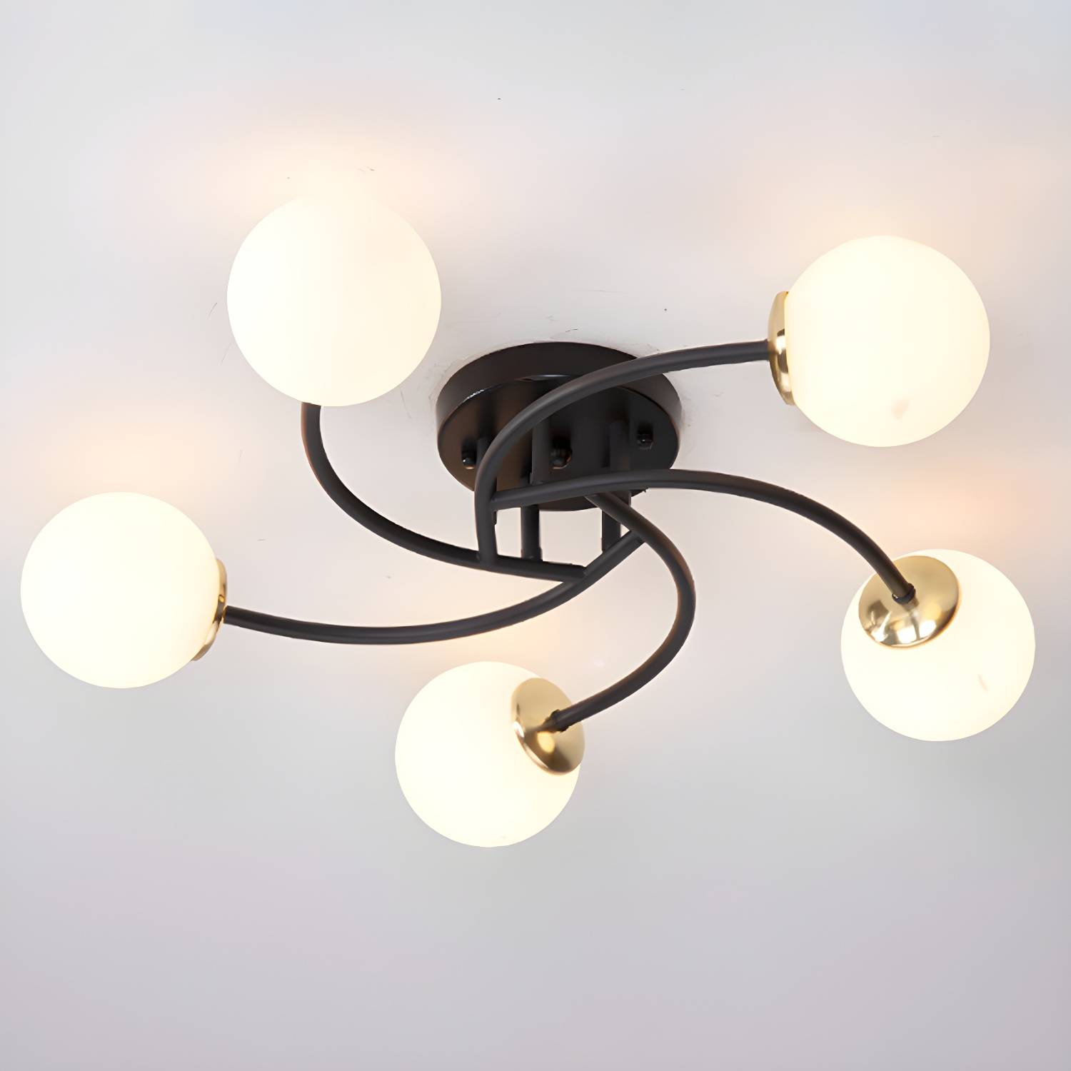 Imported image d15ece5c4b77 2776094.jpg