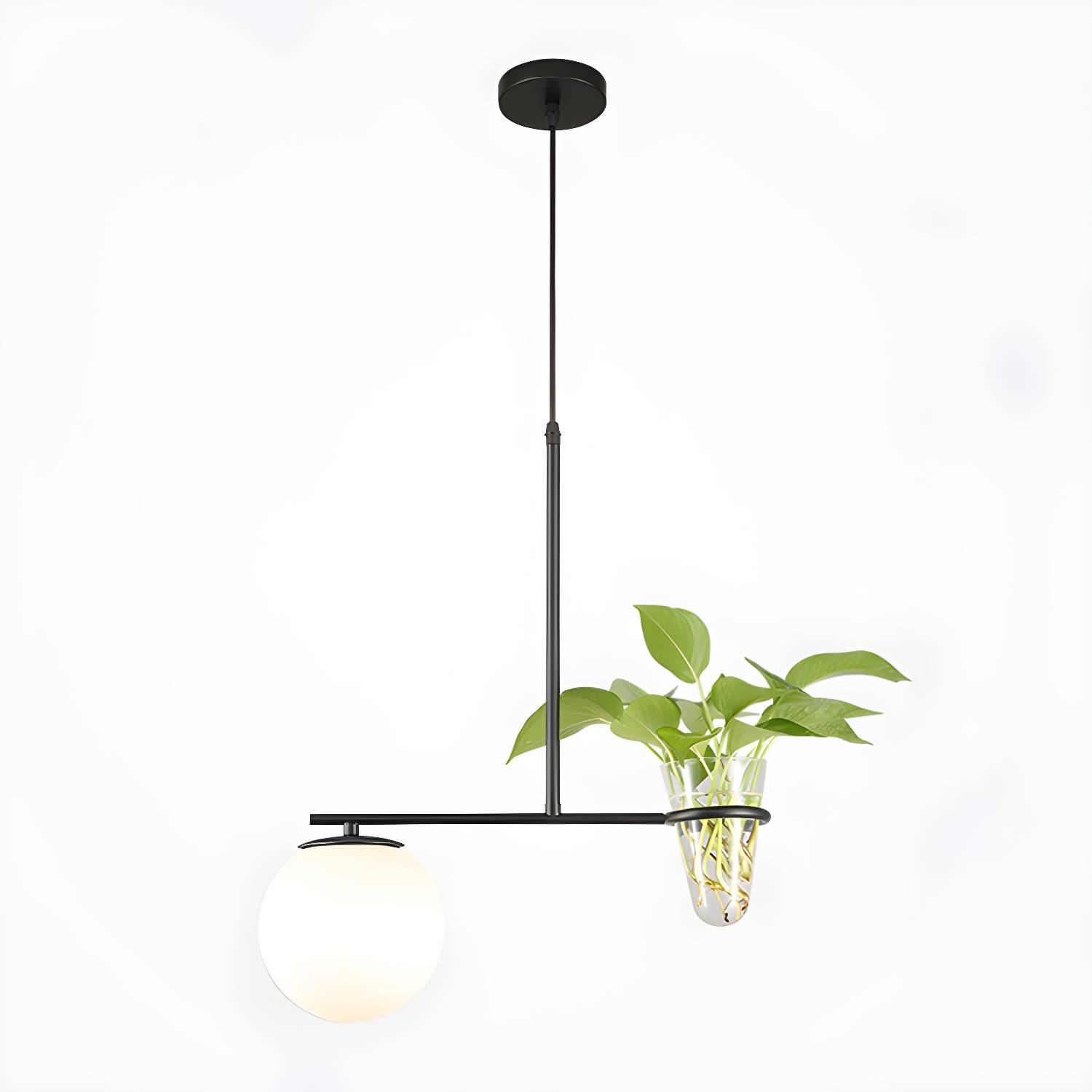 Imported image 2ab299ce1dc2 2794970.jpg