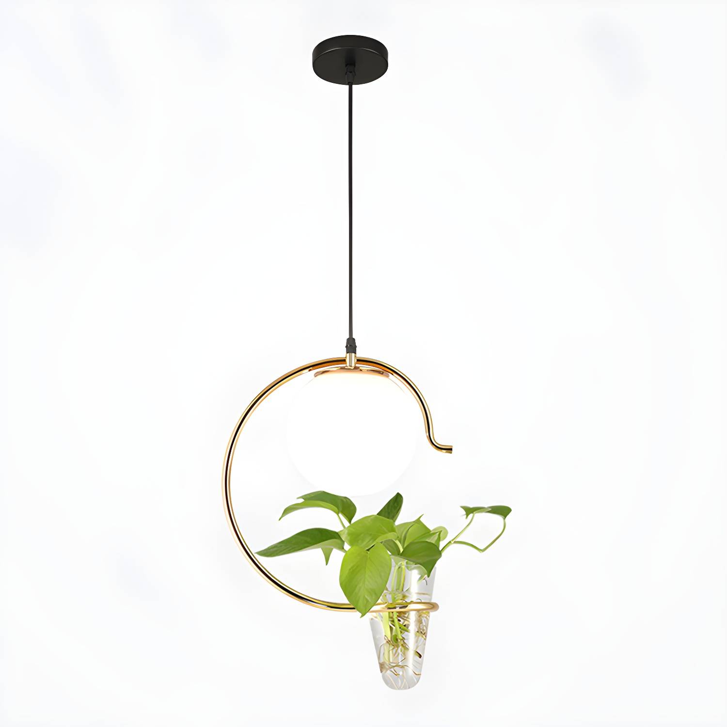 Imported image c976078e850d 2794982.jpg