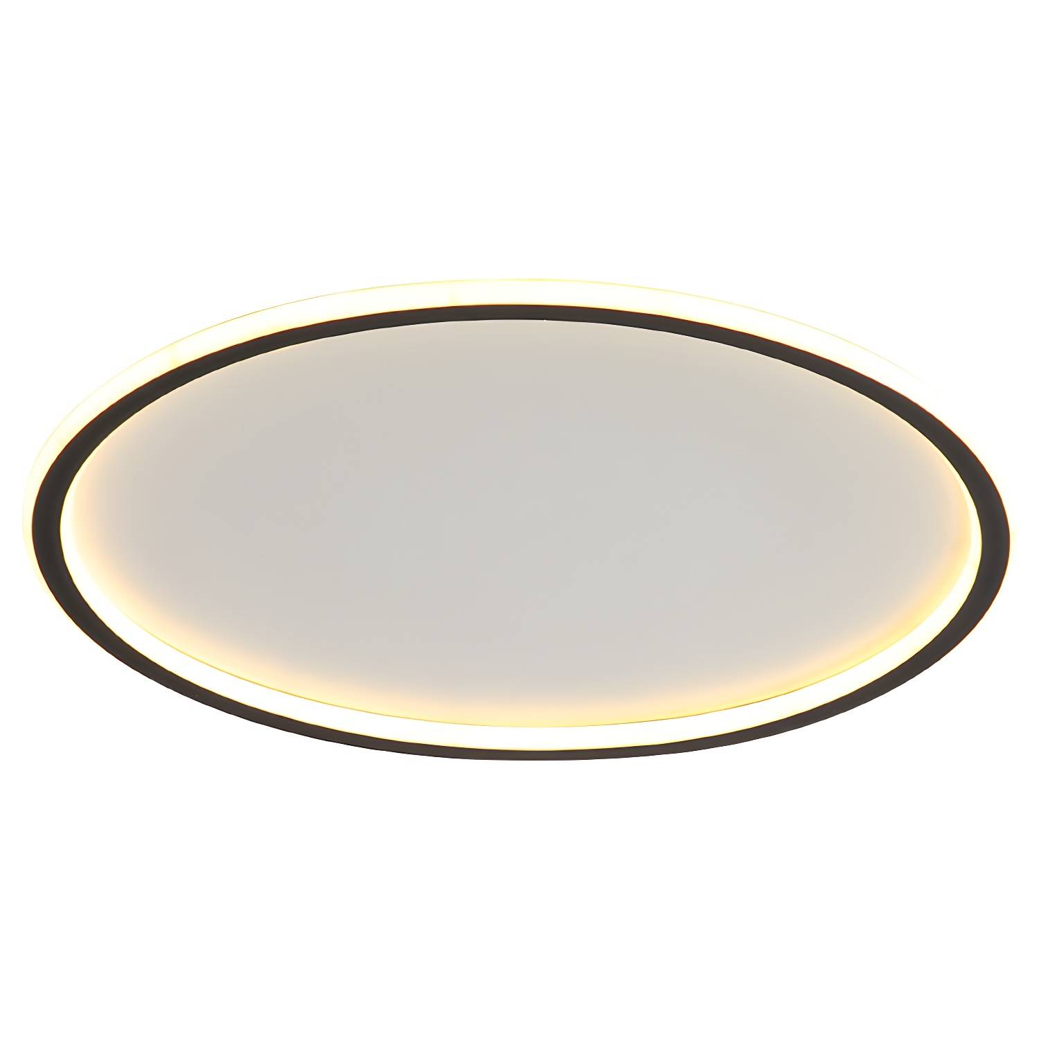Imported image d6ee6257693c 2803969.jpg