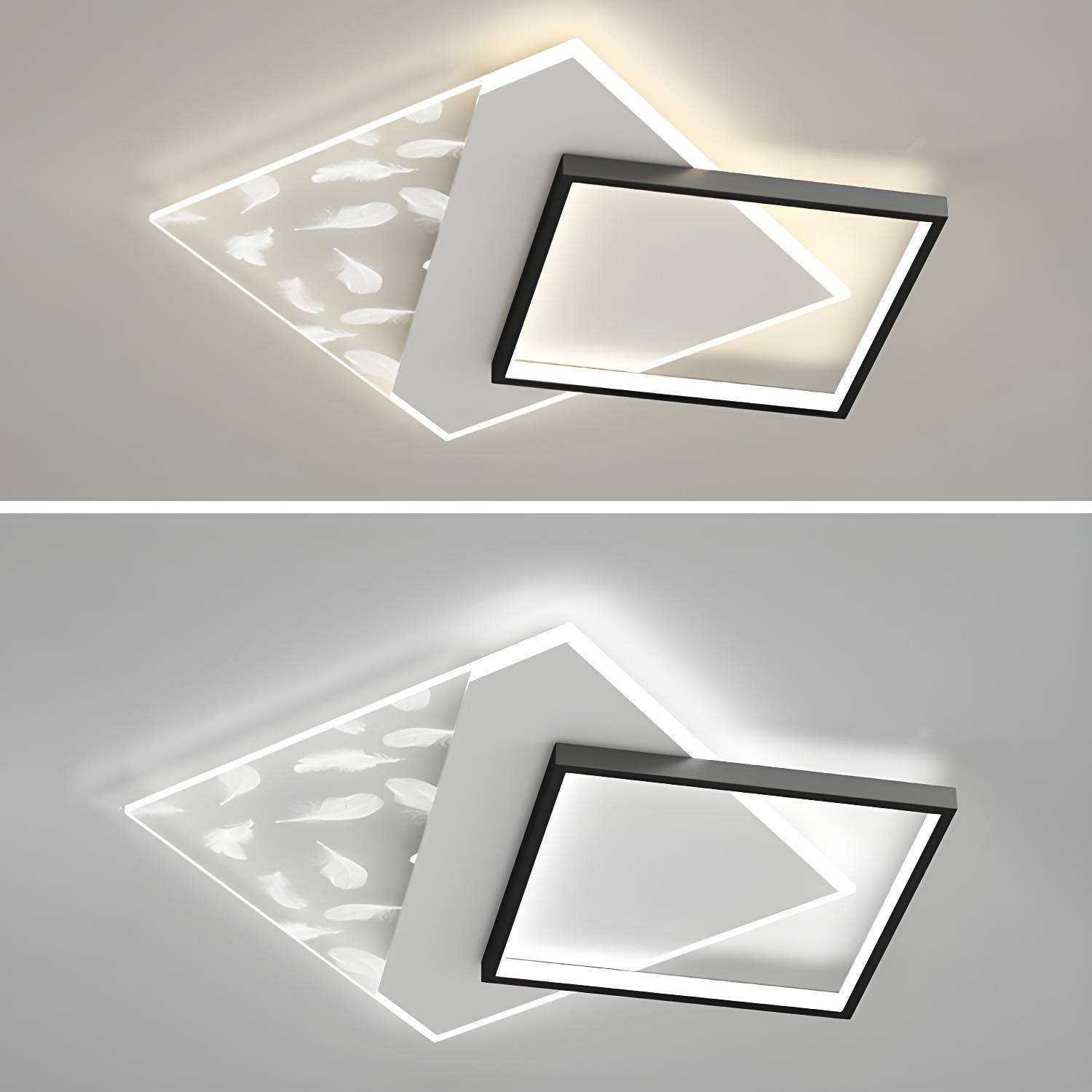 Imported image c571db88761a 2807238.jpg