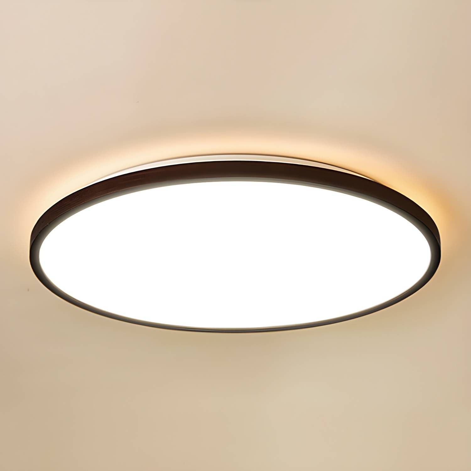 Imported image 43a75e447b4c 2807326.jpg