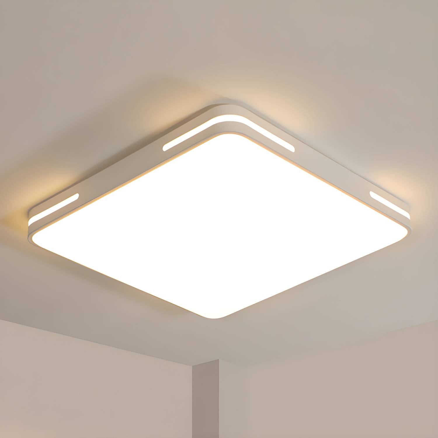 Imported image d3b957b95565 2807439.jpg