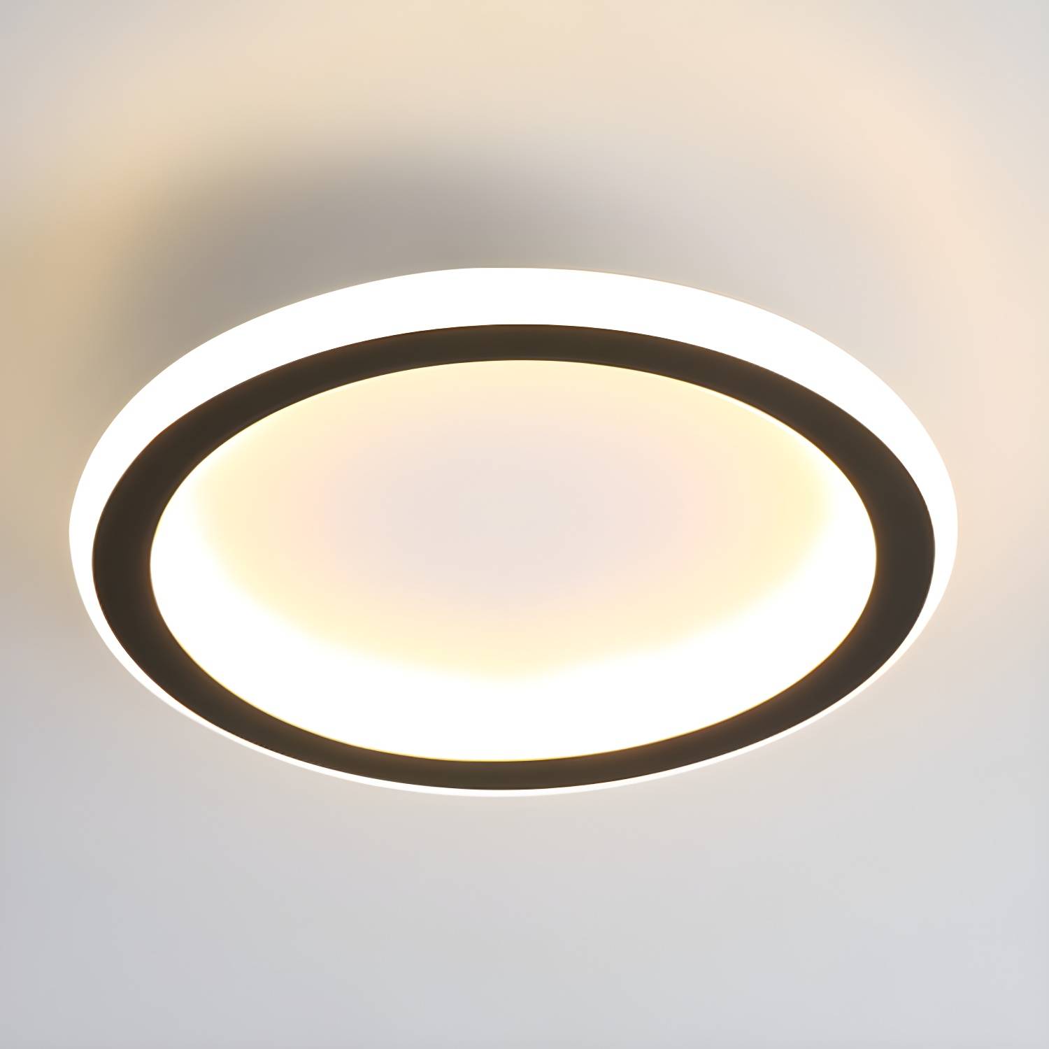 Imported image c2dd6c615728 2807765.jpg