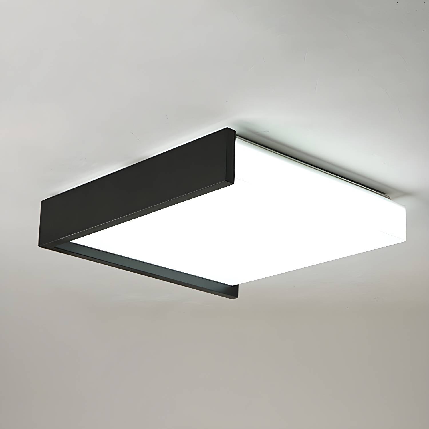 Imported image f2644cea01fc 2809777.jpg