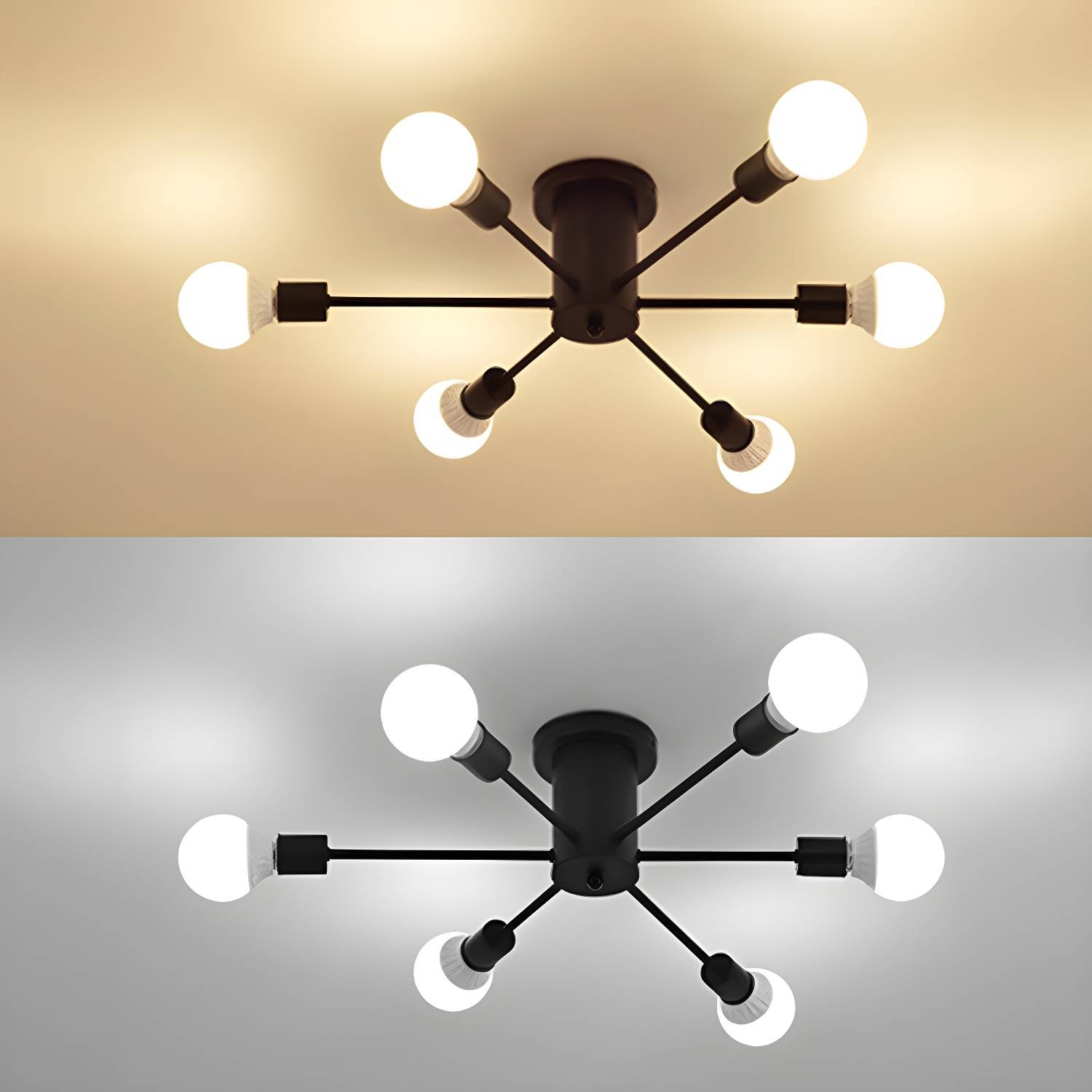 Imported image 85cc3e2bafe6 2815152.jpg