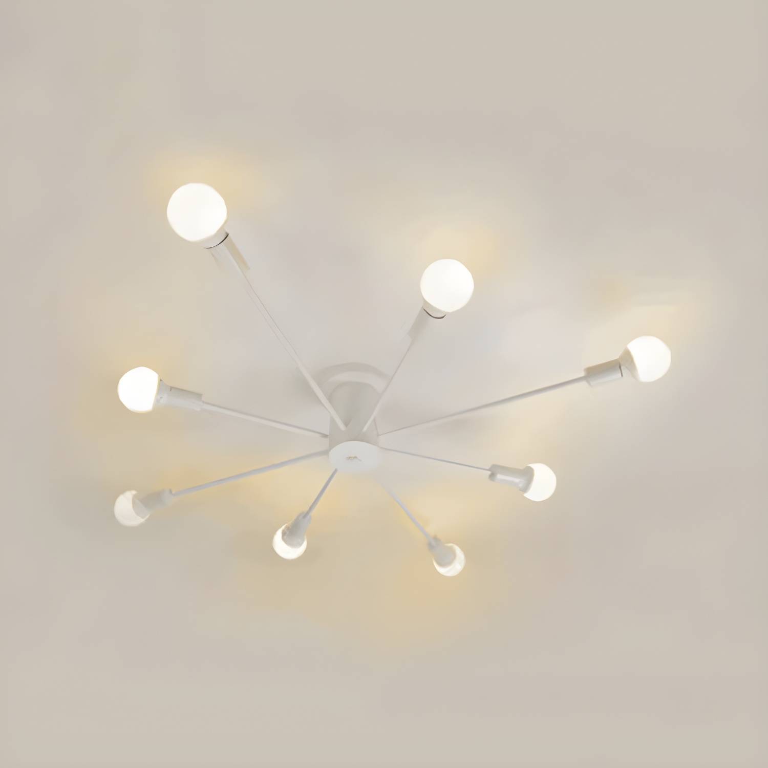 Imported image d214d4dc0716 2815170.jpg