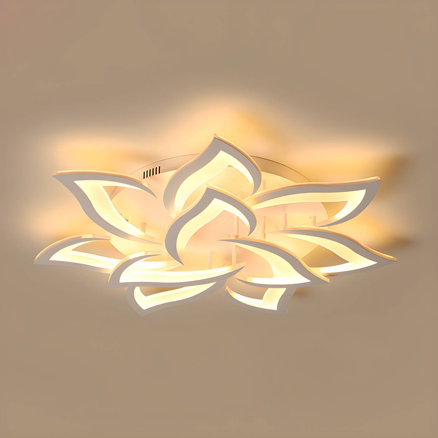 Imported image ef8bf0903b42 2823328.jpg