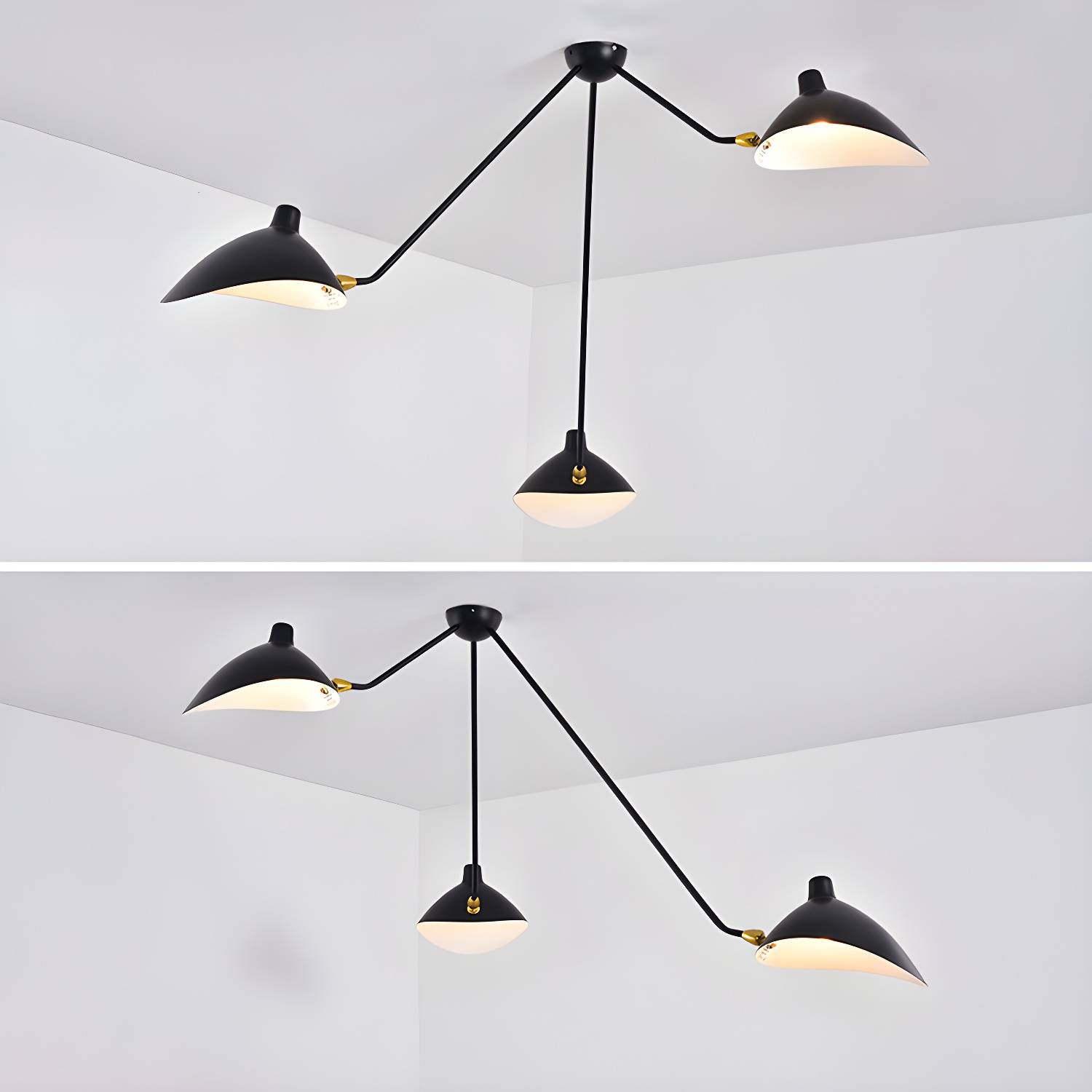 Imported image dbf96c9a116f 2824197.jpg