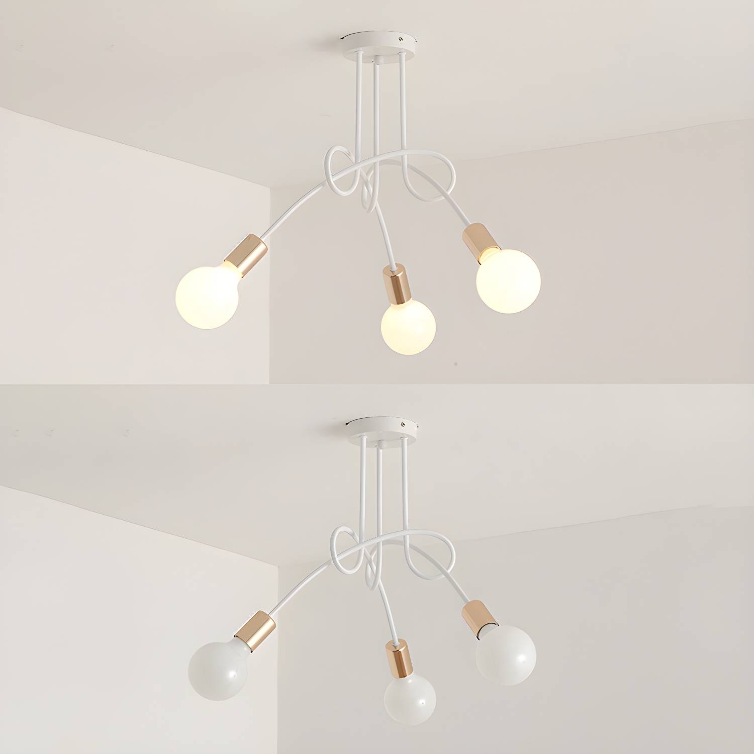 Imported image 79c5bfd36364 2826698.jpg
