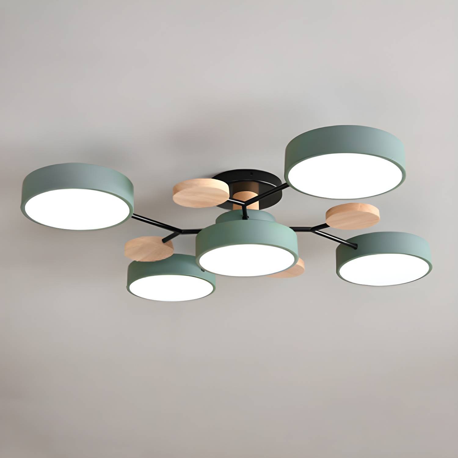 Imported image e542260f35df 2826790.jpg