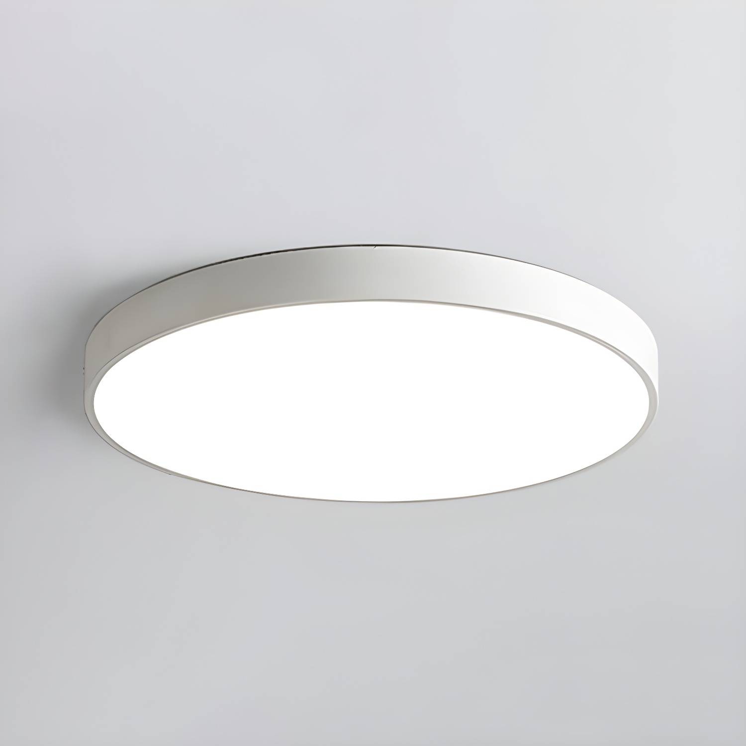 Imported image 2f5584a06ece 2827429.jpg