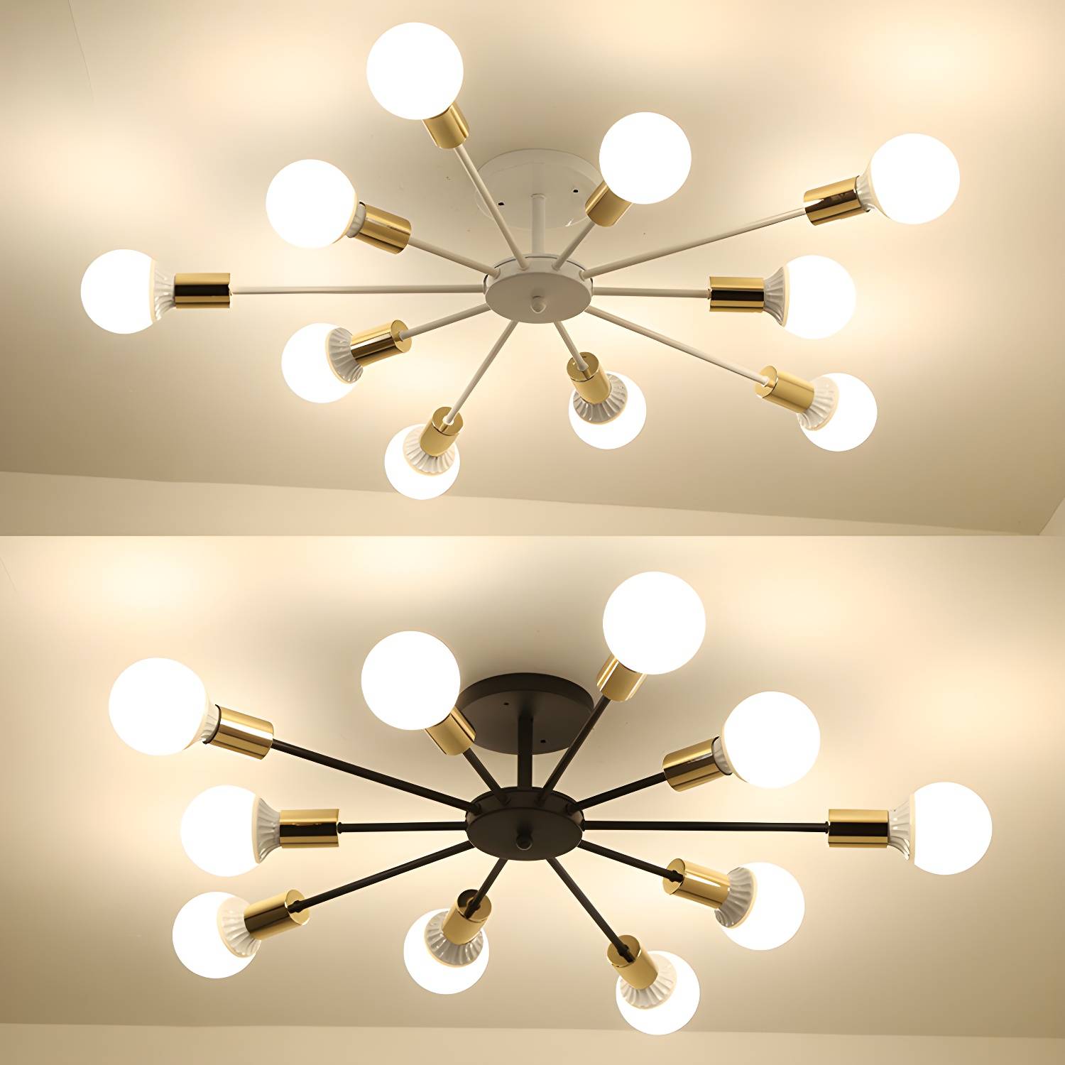 Imported image c706191e66b6 2827916.jpg