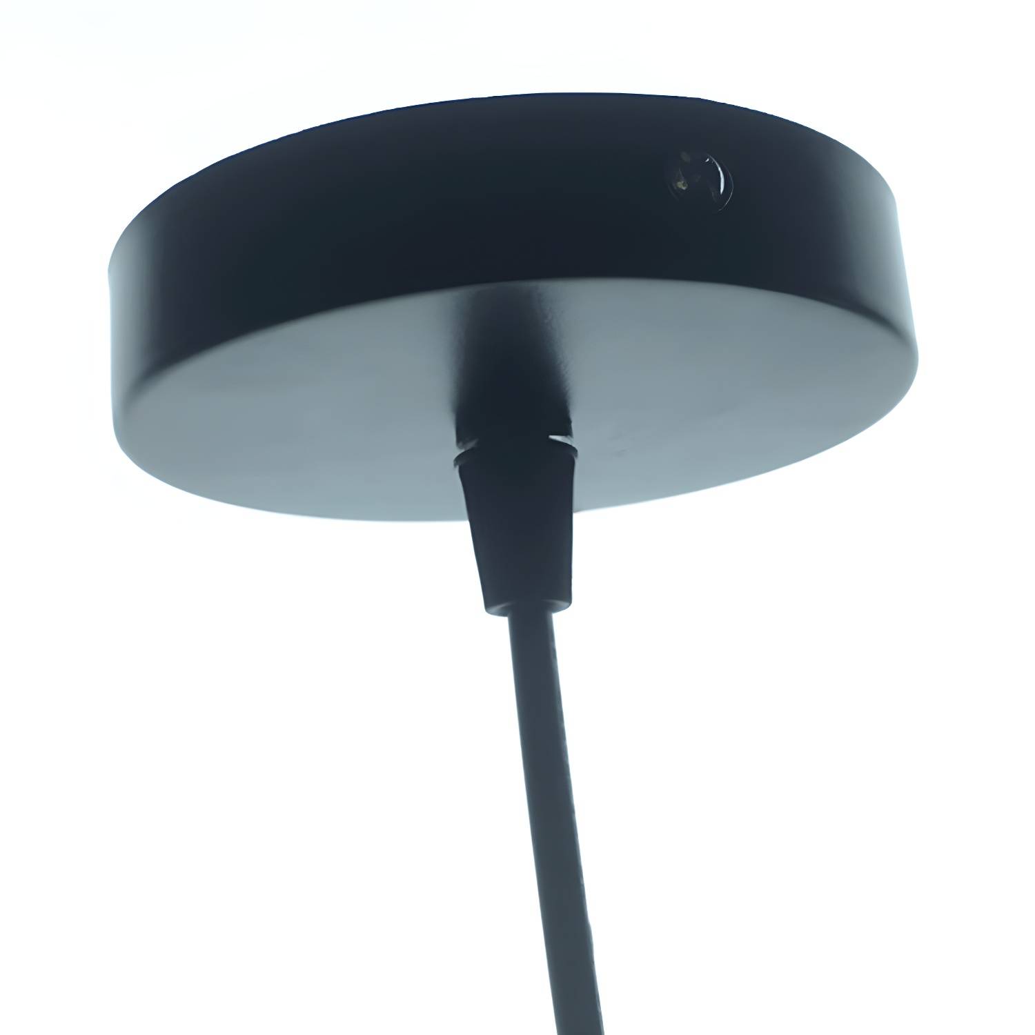Imported image 9fe315cfc82c 2835857.jpg