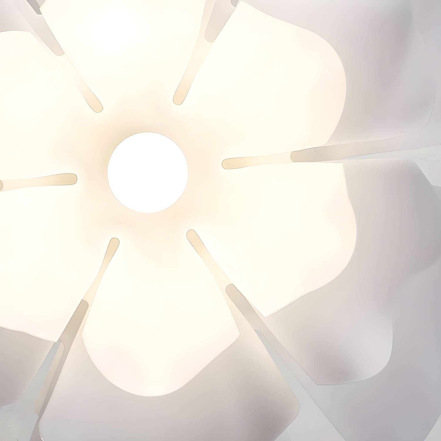 Imported image 10a63aef8c69 2837127.jpg