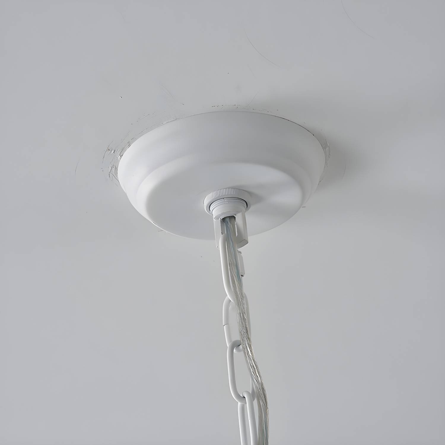 Imported image bf352f8516d6 2837516.jpg