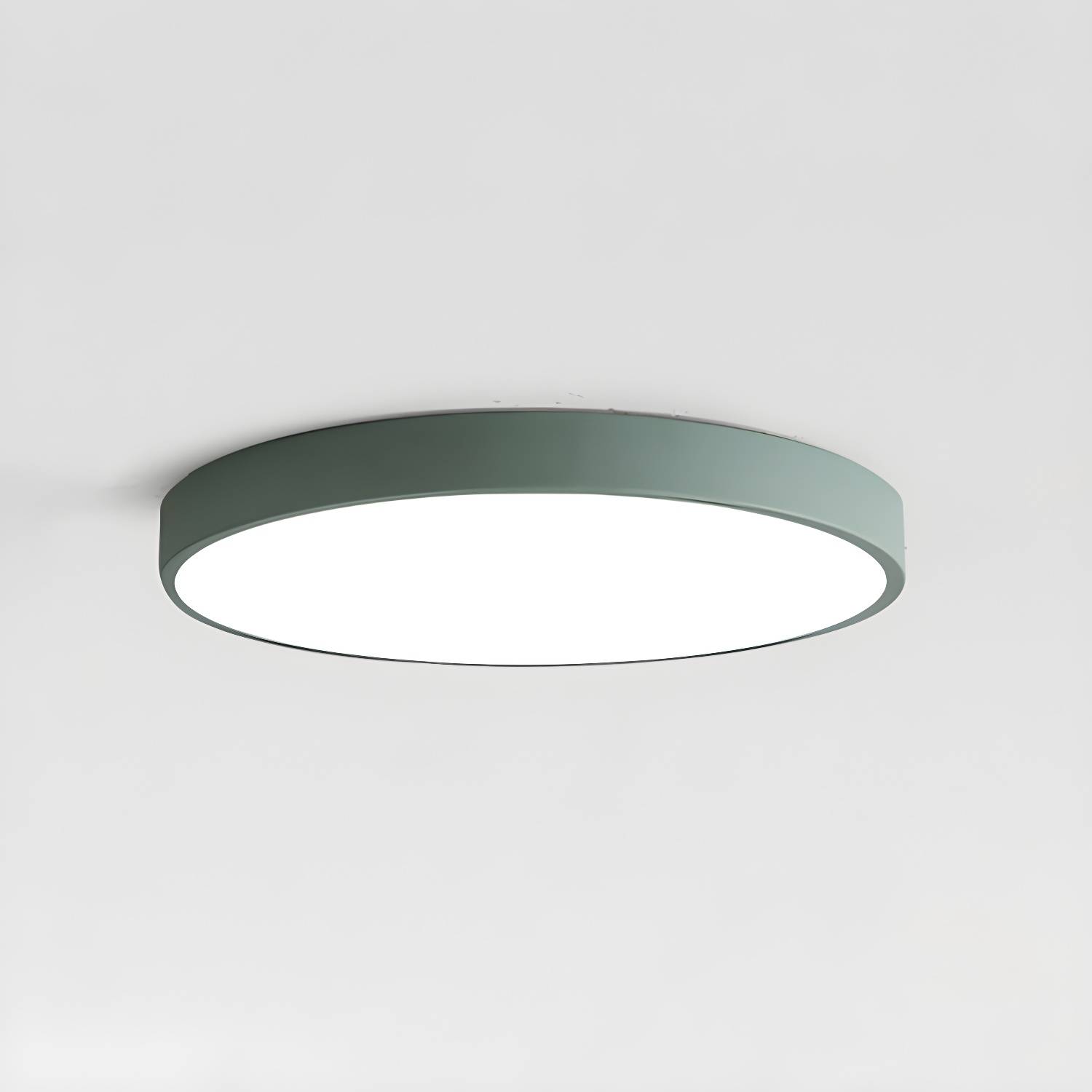 Imported image d6e91efb0792 2844991.jpg