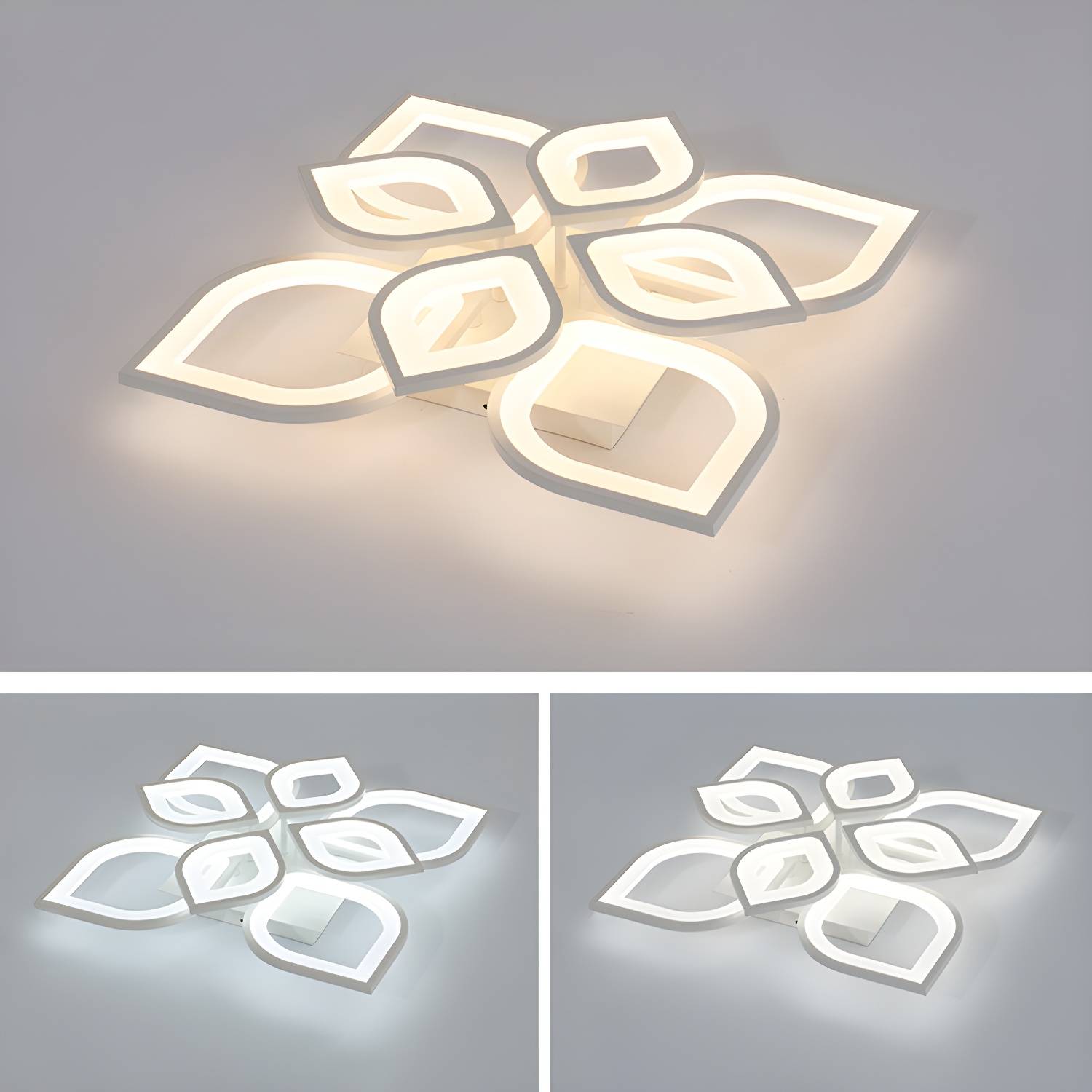 Imported image d6f70b554b86 2854679.jpg