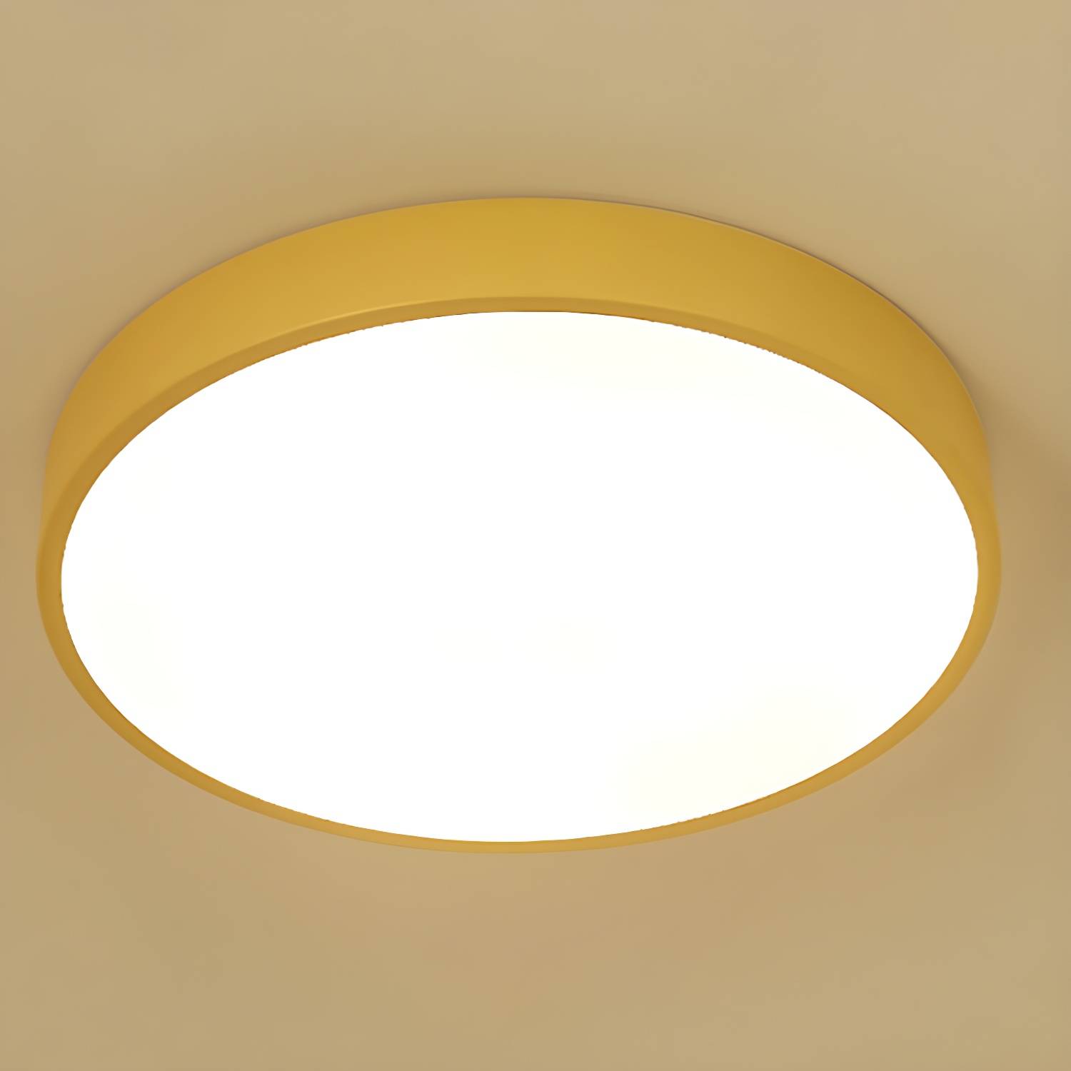 Imported image 7c118ed9d18e 2854940.jpg