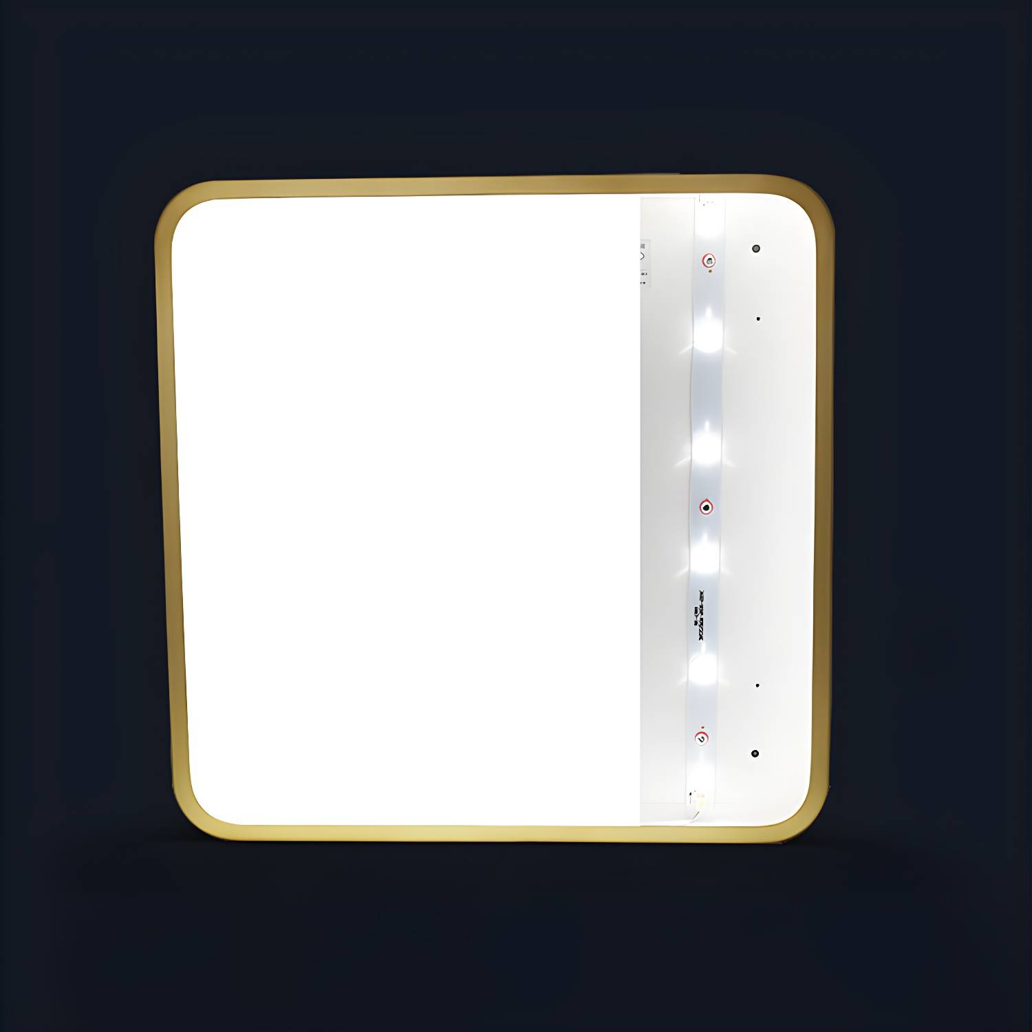 Imported image 7d53873935b2 2855028.jpg