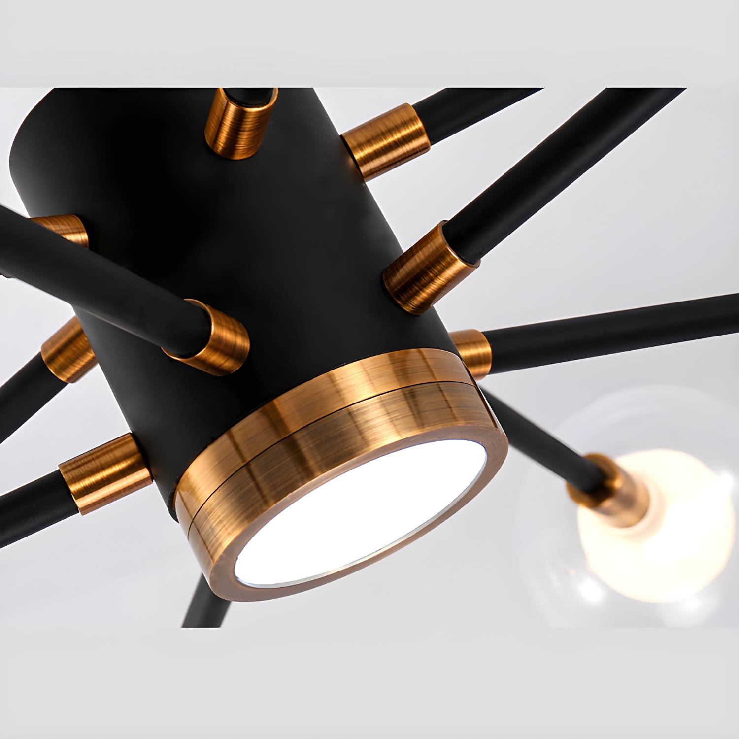 Imported image a5dece97f7e6 2855158.jpg