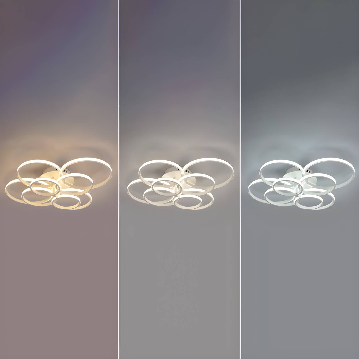 Imported image 881a408f9946 2856378.jpg