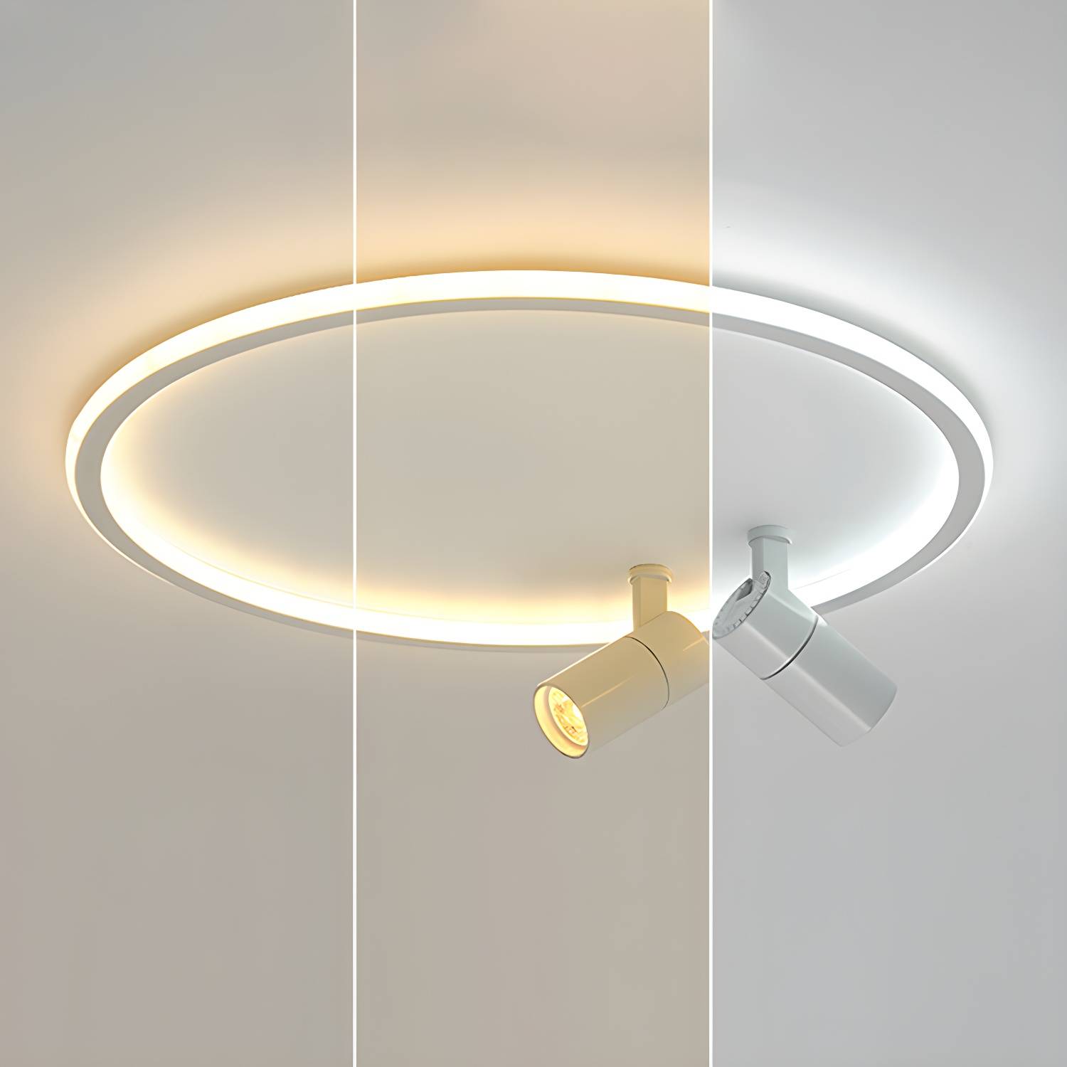 Imported image d941d73f281e 2856592.jpg