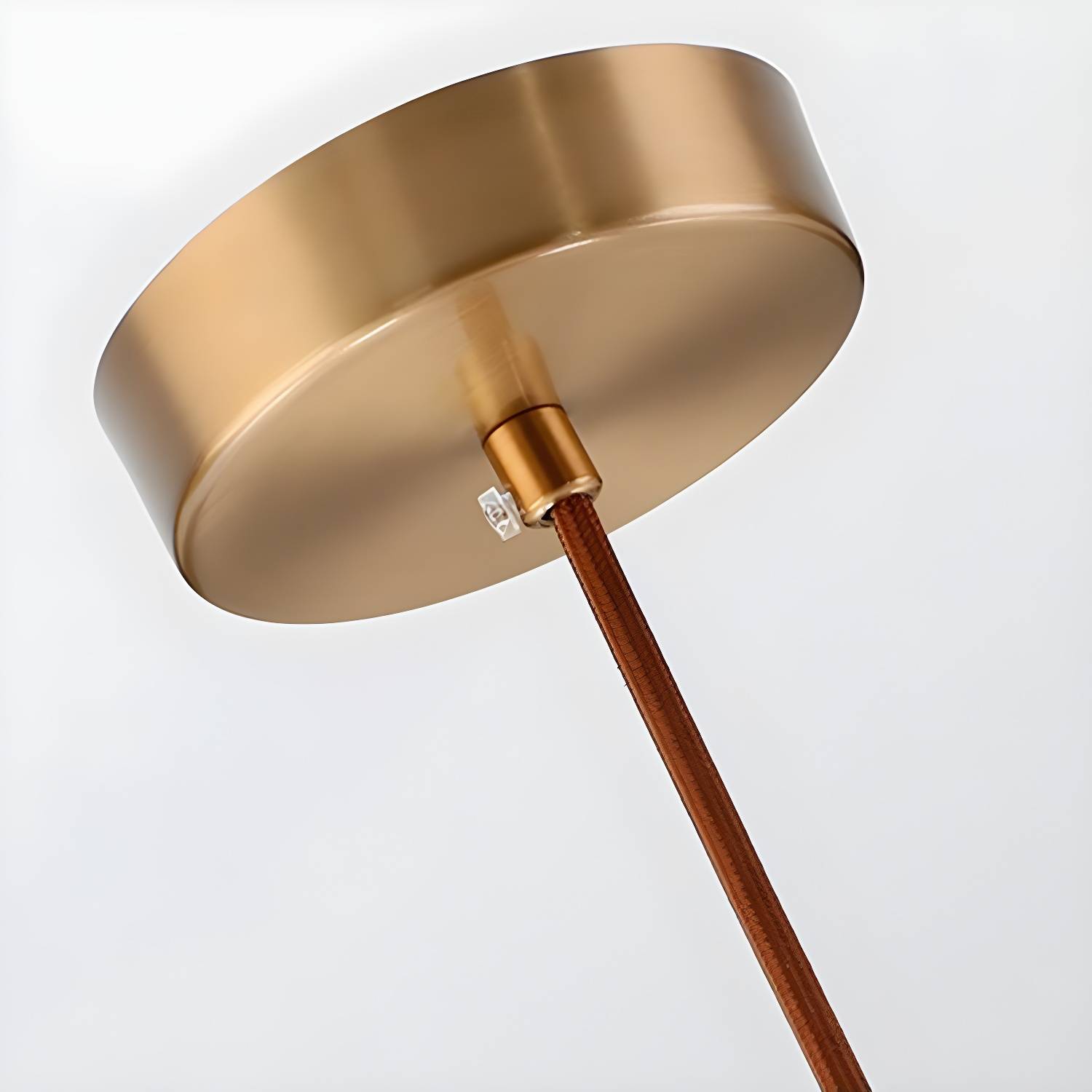 Imported image 72a9c0d684ee 2871780.jpg