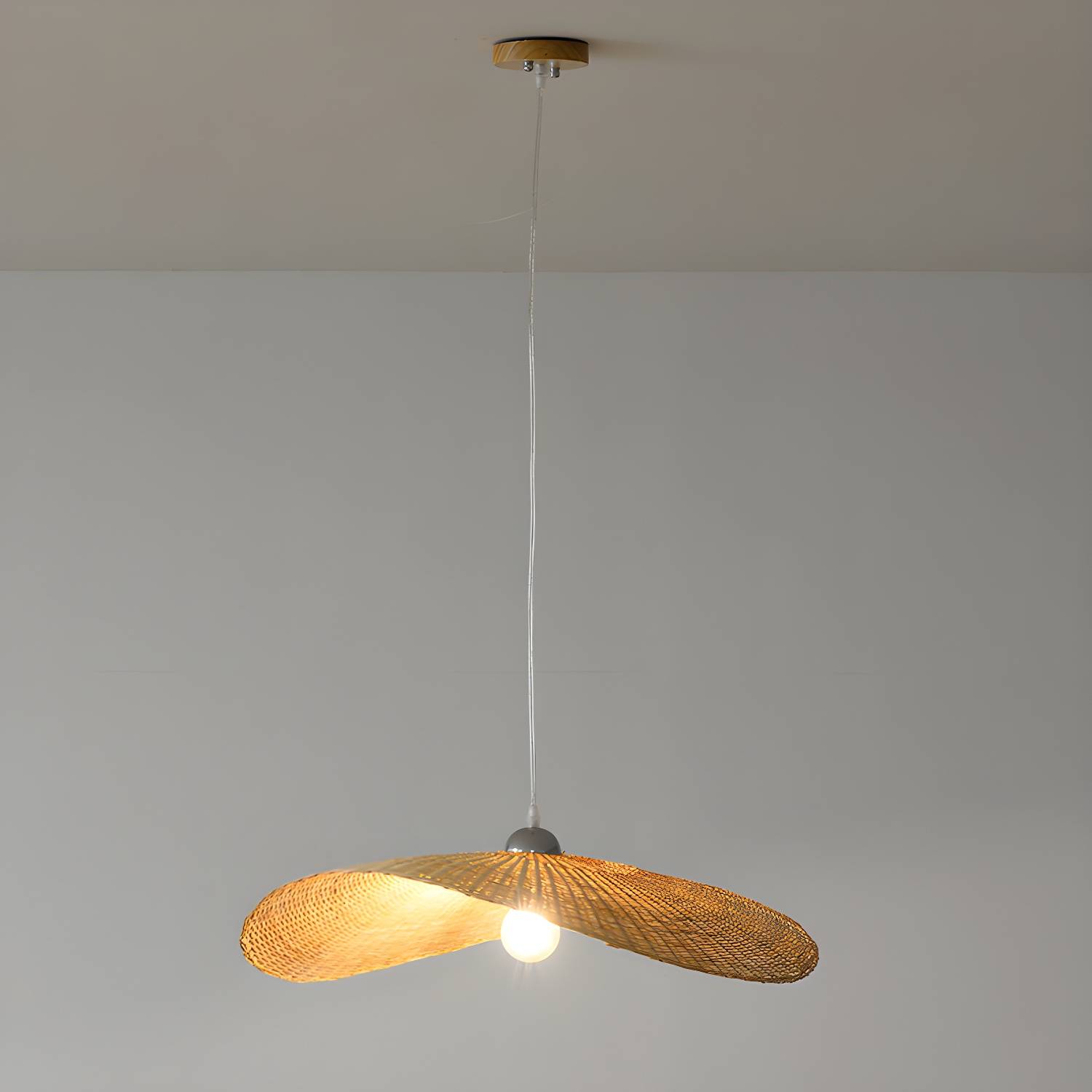 Imported image 57618d309047 2871967.jpg