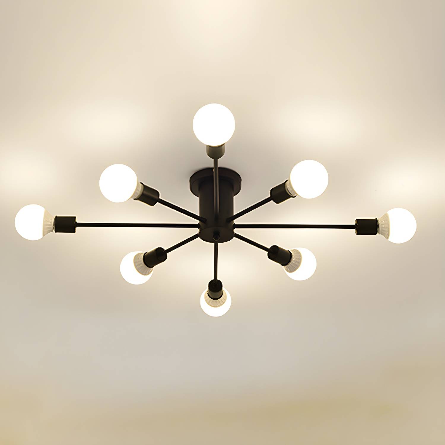 Imported image e714d91792e2 2872435.jpg