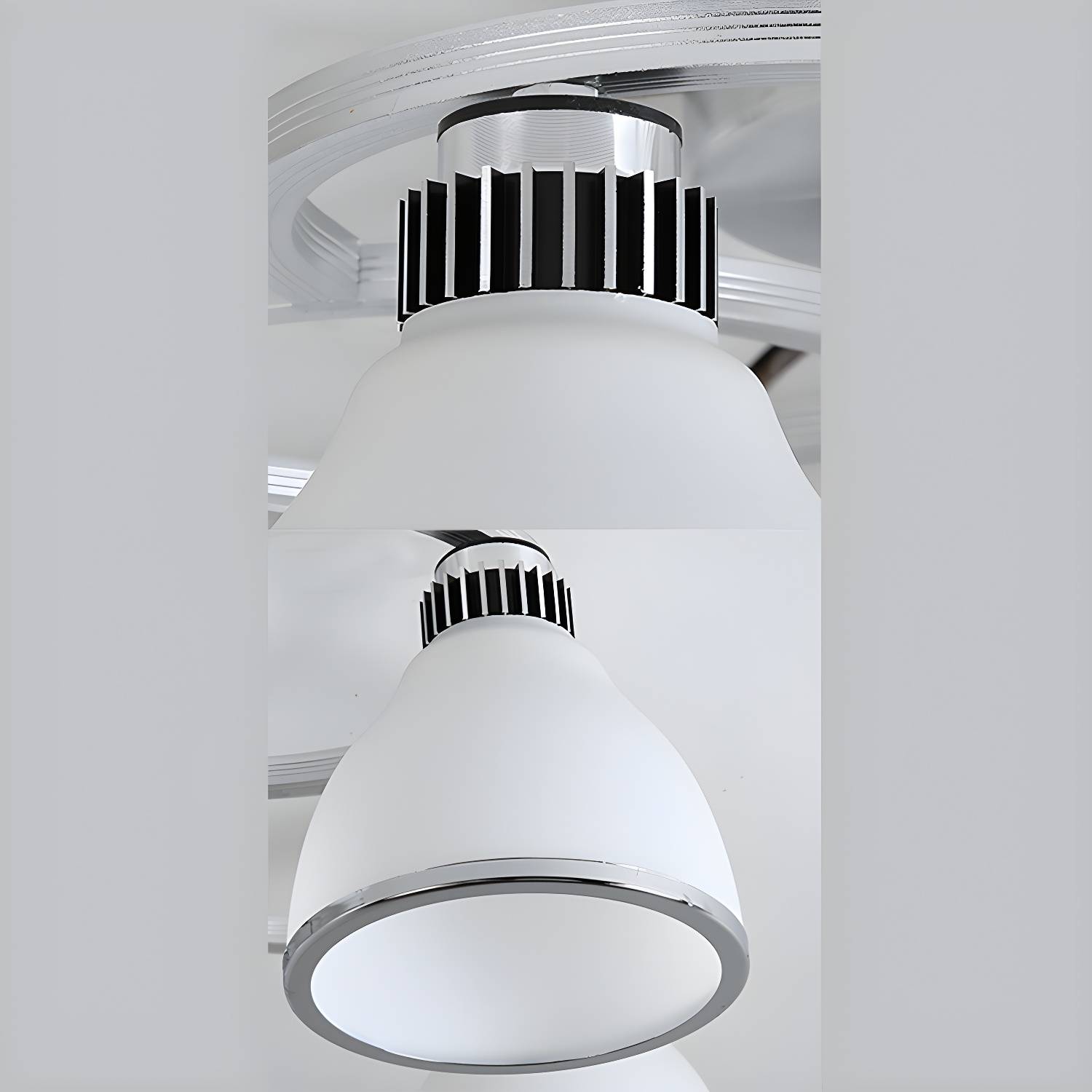 Imported image e501c9c94984 2872502.jpg