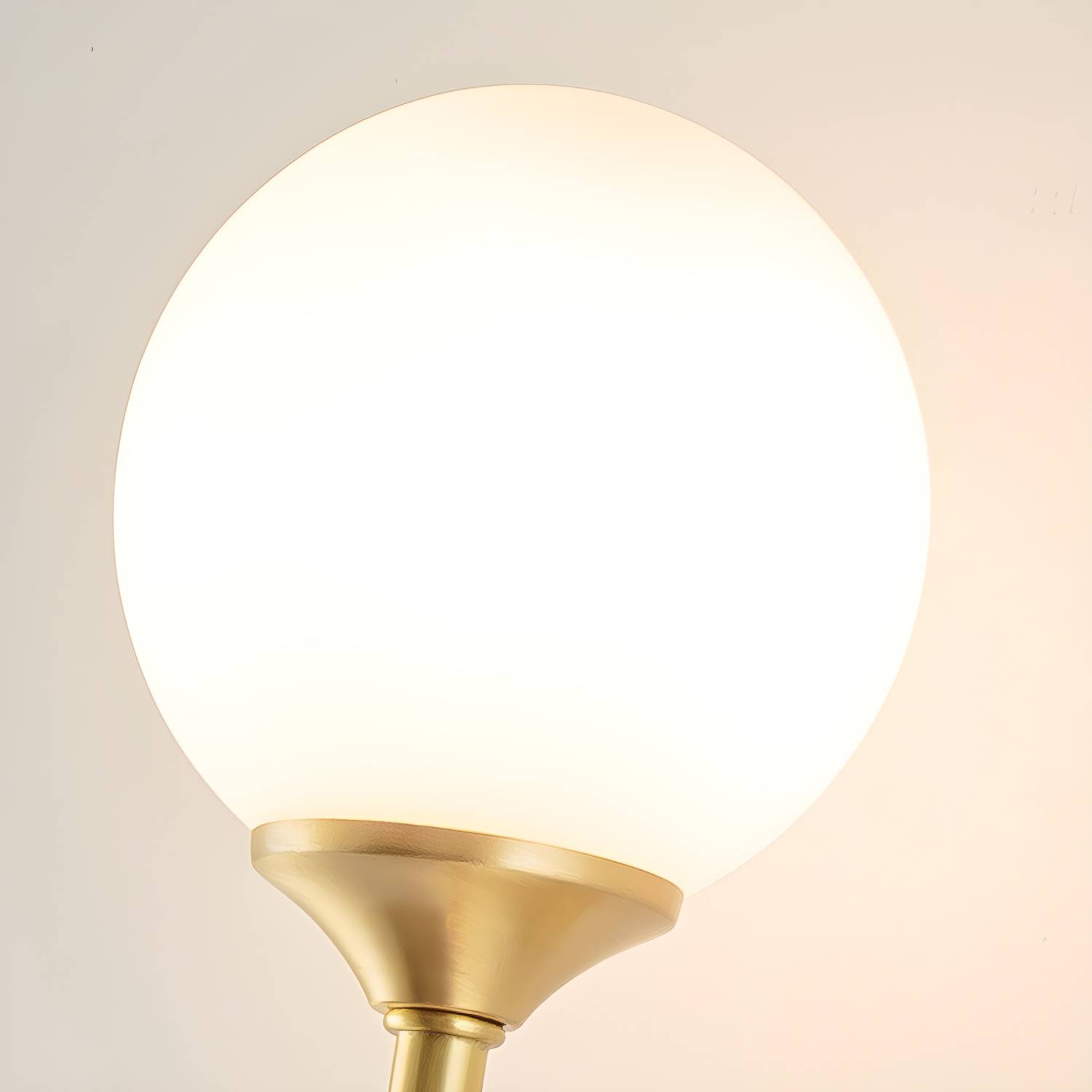 Imported image 6952f815665e 2885056.jpg