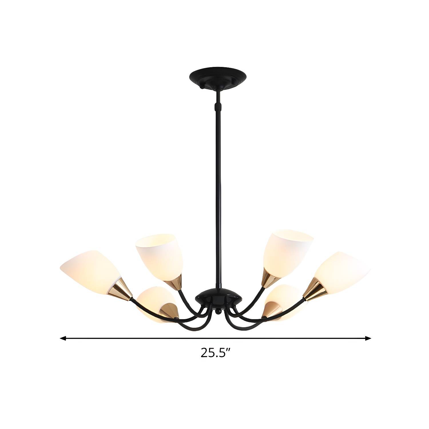 Imported image ec6390a54f33 288511.jpg