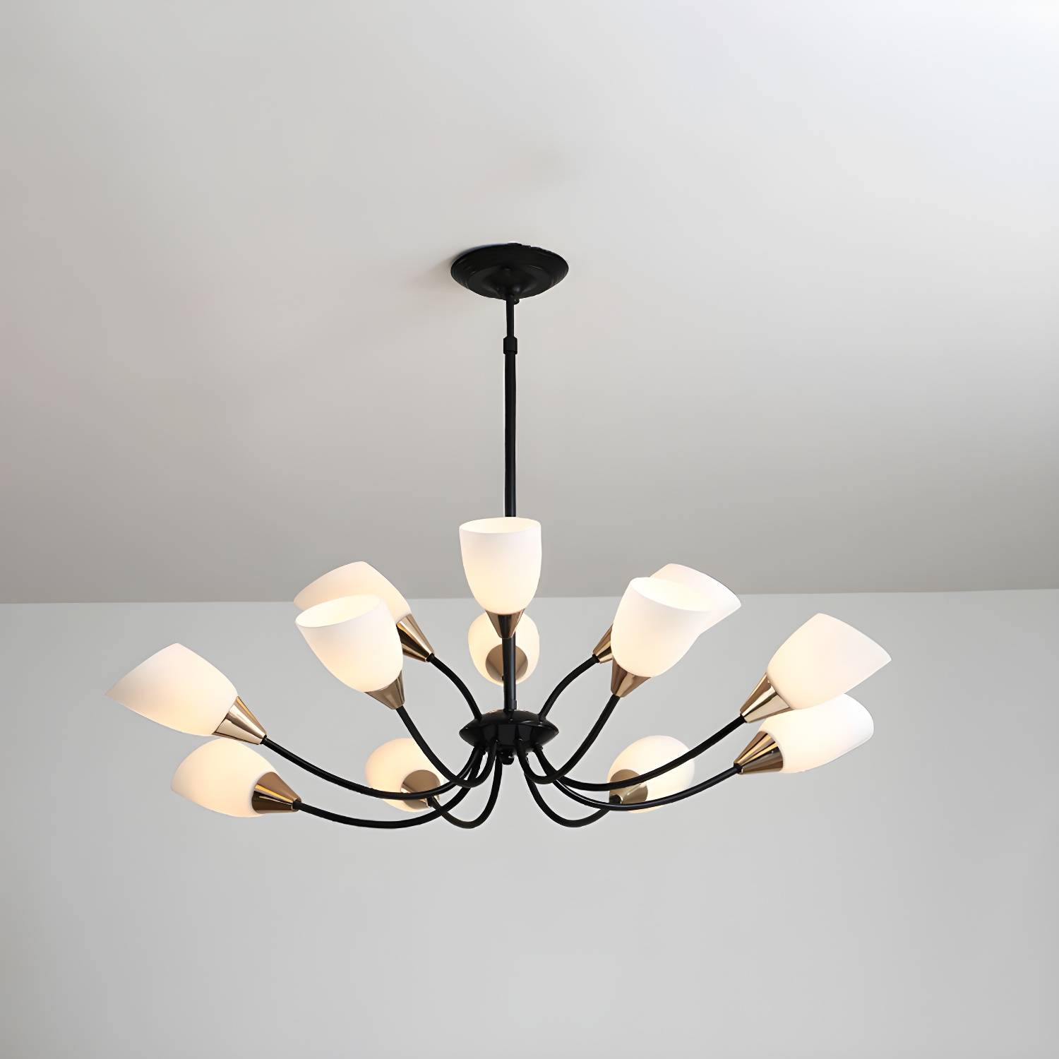 Imported image b28477f1889e 288519.jpg