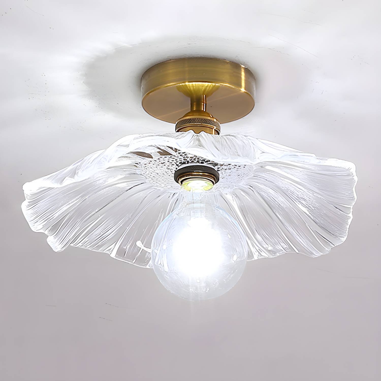 Imported image b60039b29116 2886499.jpg
