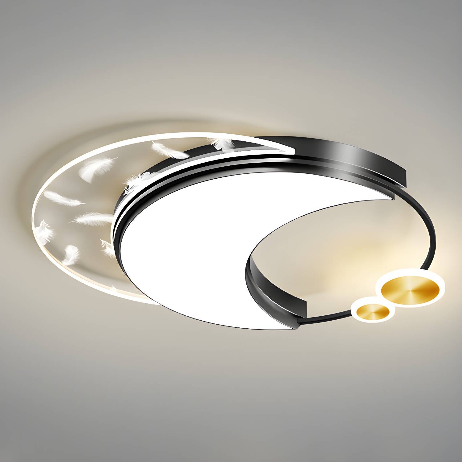 Imported image 4e598025010a 2886915.jpg