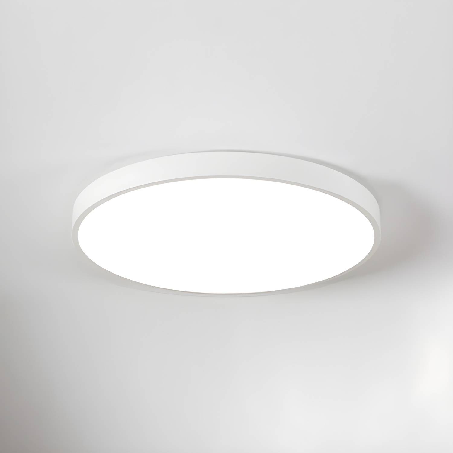 Imported image c9534d1e7618 2900827.jpg