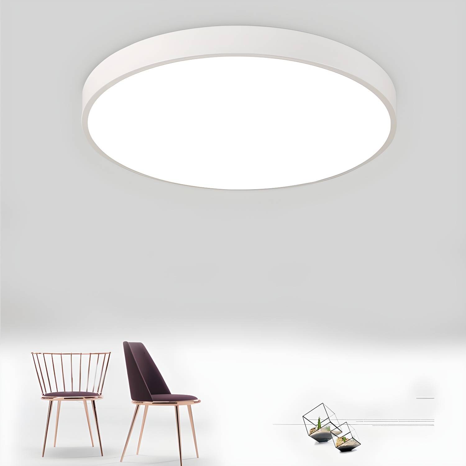Imported image 8b597a425216 2900829.jpg