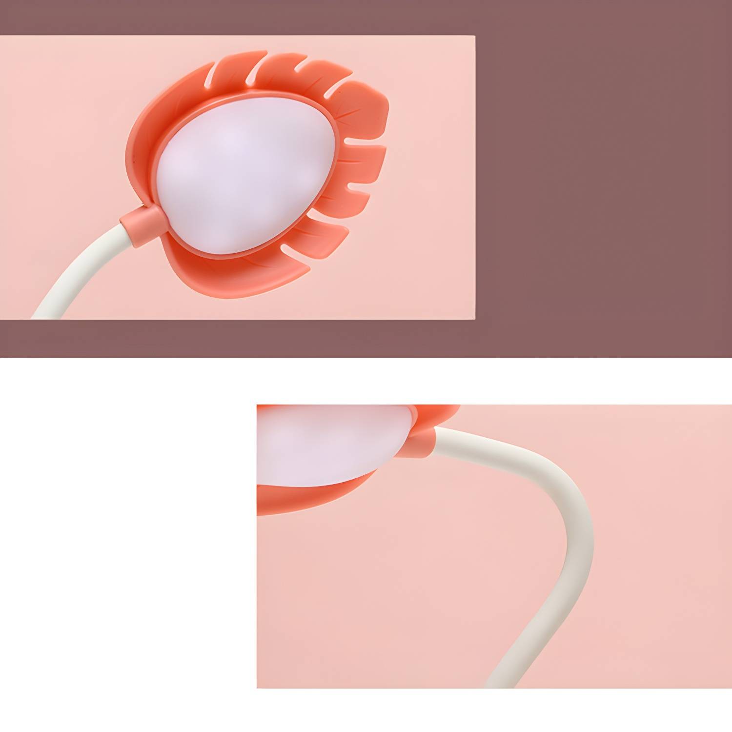 Imported image 16e2d62b7e38 2902045.jpg