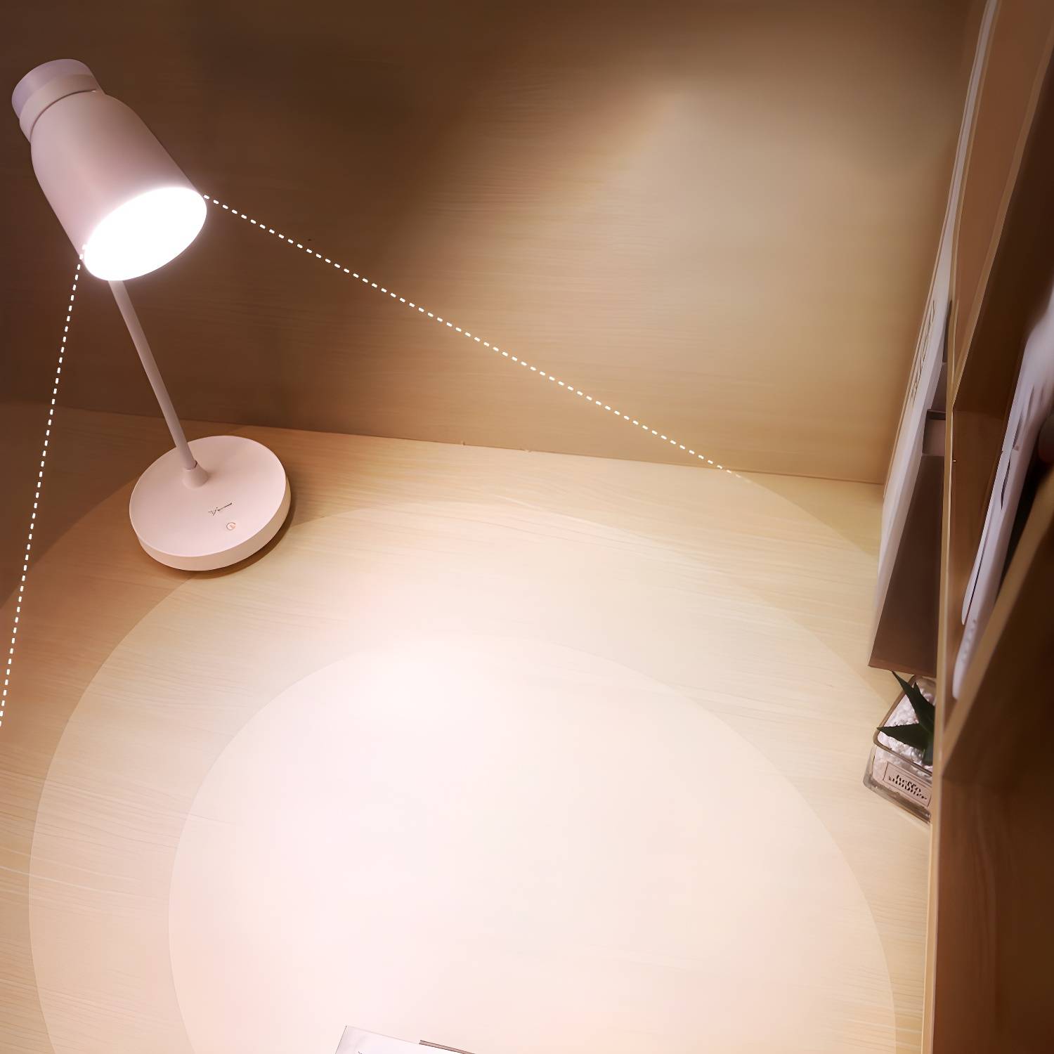 Imported image a29f036d19e7 2902180.jpg