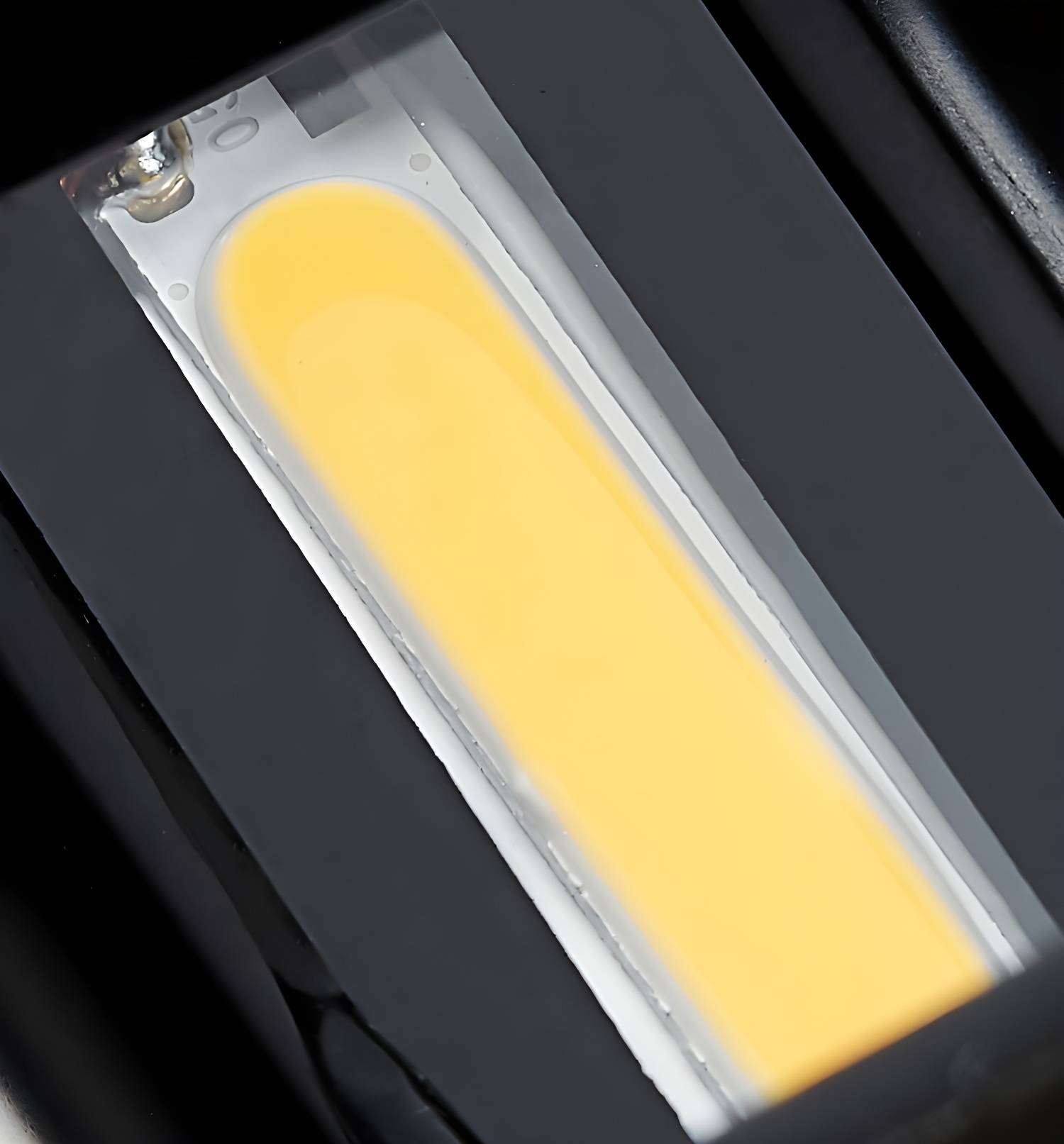 Imported image 10935a6a250d 2904478.jpg