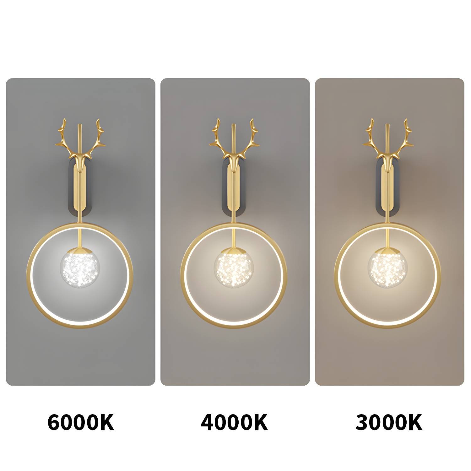 Imported image baed0233e7b1 2904764.jpg